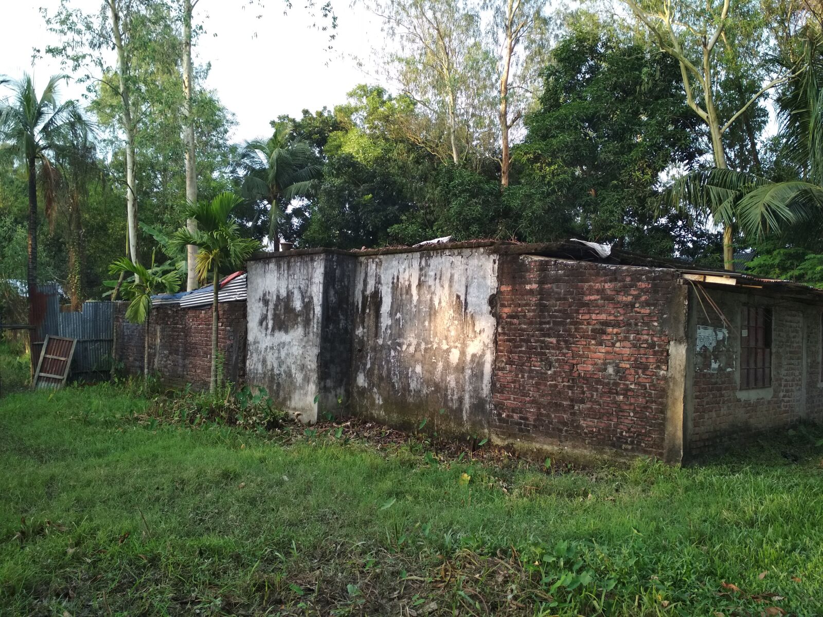 Xiaomi Redmi 4X sample photo