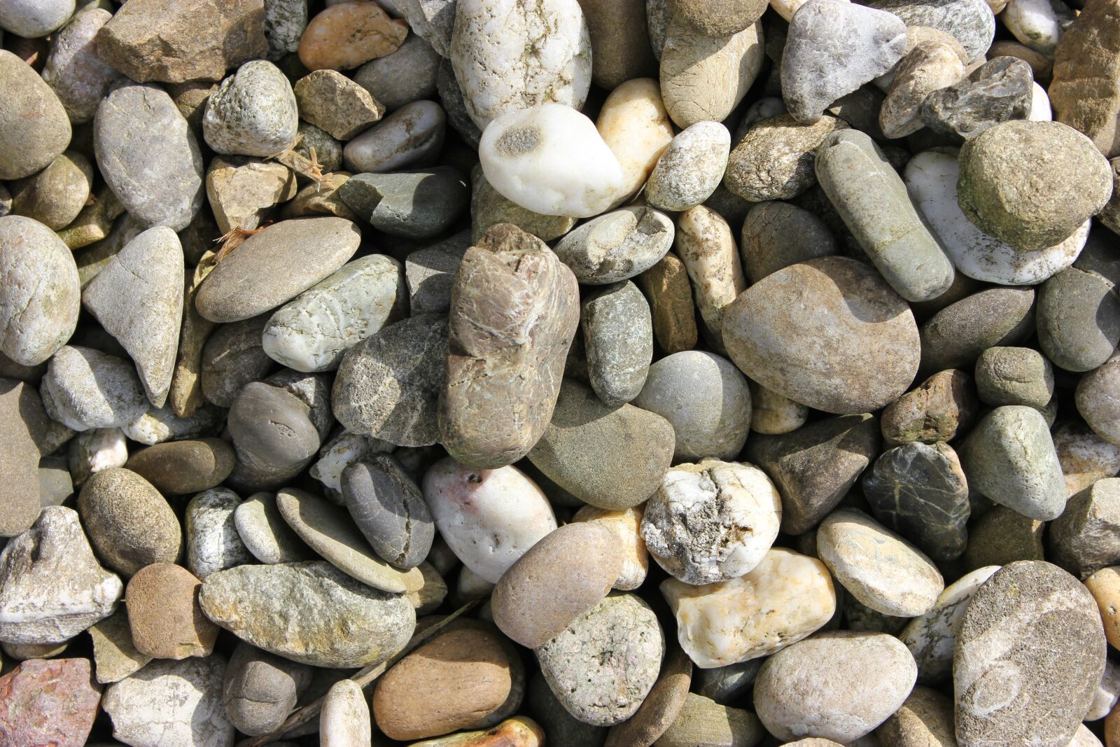 Canon EOS 550D (EOS Rebel T2i / EOS Kiss X4) sample photo. Stones, outdoor, nature photography