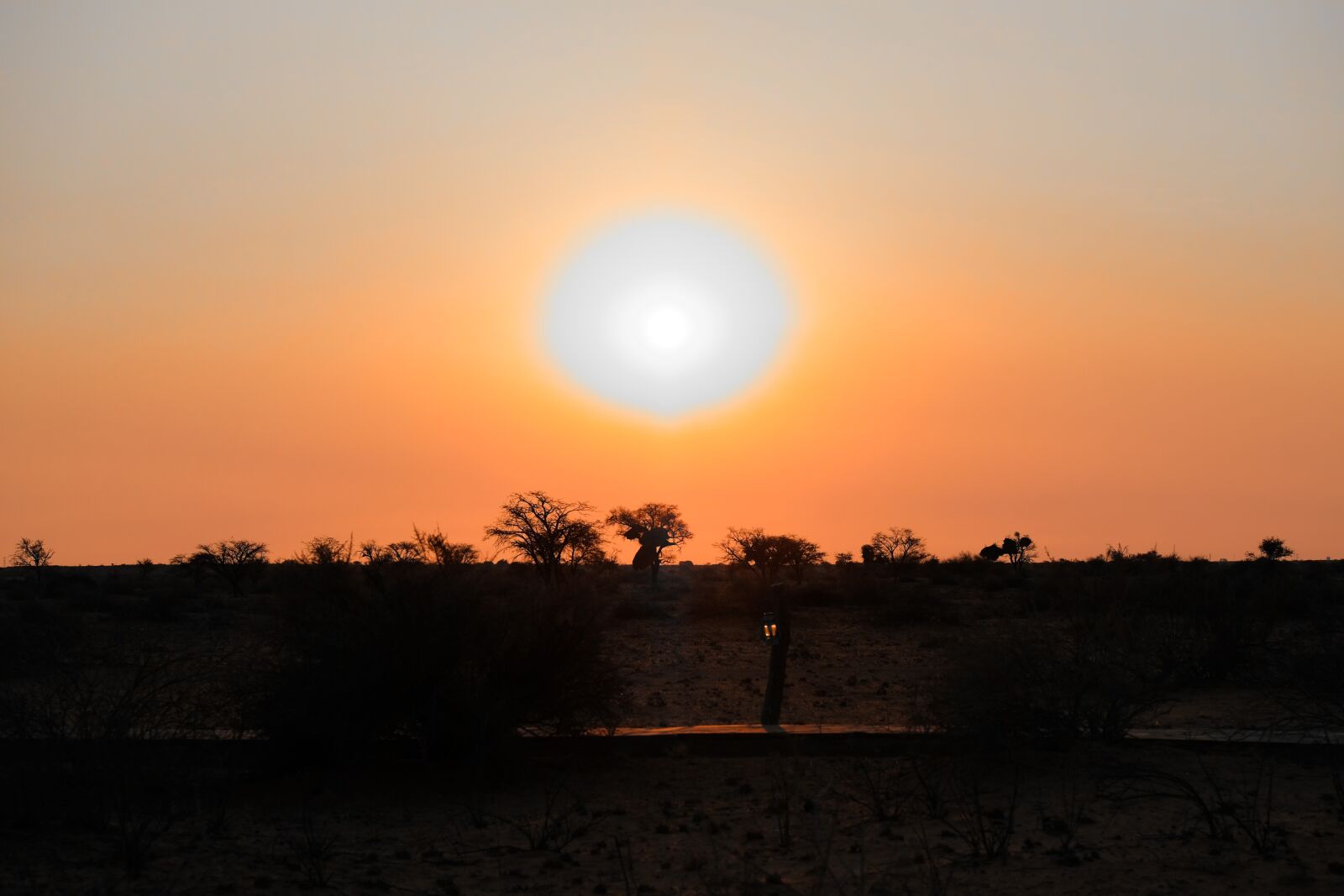 Fujifilm XF 55-200mm F3.5-4.8 R LM OIS sample photo. Sunset, africa, nature photography