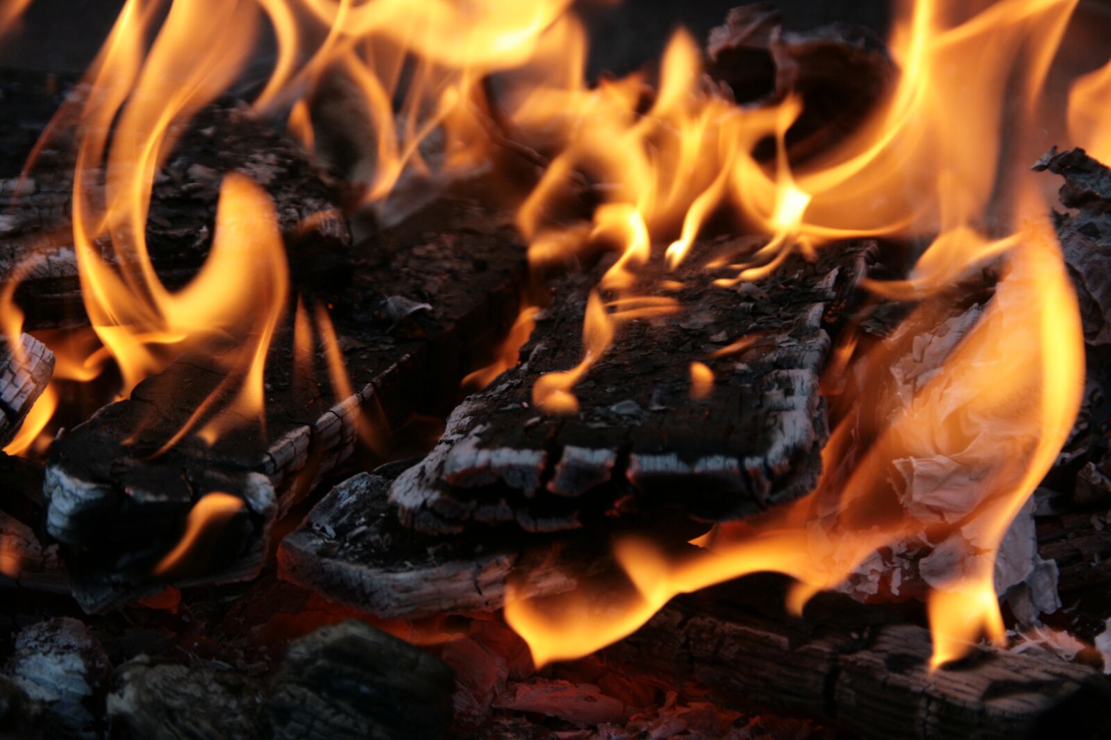 Canon EOS 400D (EOS Digital Rebel XTi / EOS Kiss Digital X) sample photo. Fire, combustion, burn photography