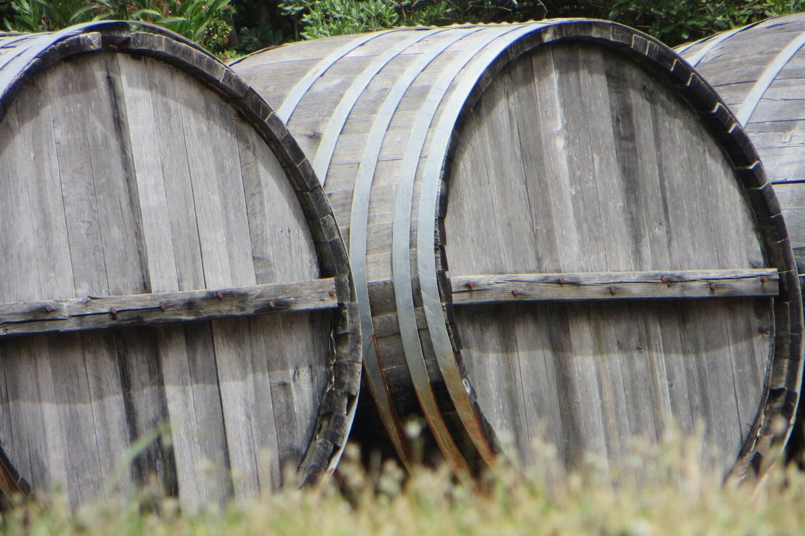 Canon PowerShot SX260 HS sample photo. Vineyard, wine, barrel photography