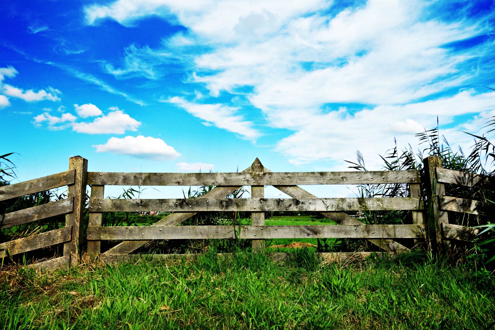 Sony Cyber-shot DSC-RX100 sample photo. Gate, fence, forbidden photography