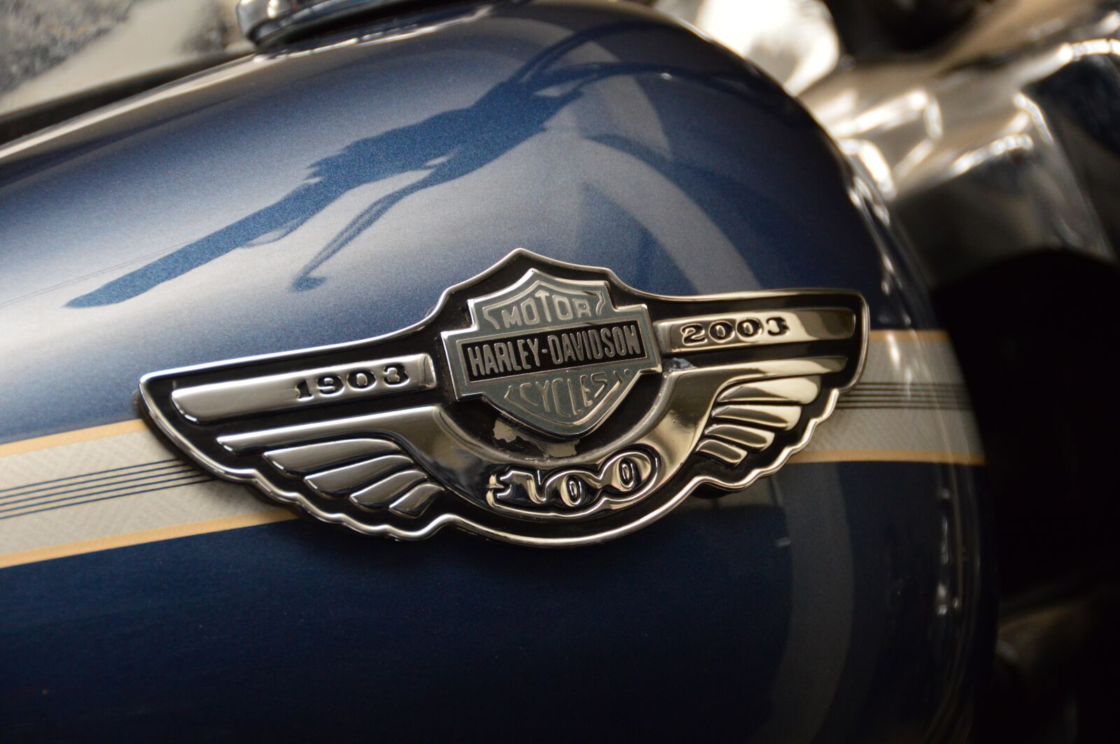 Nikon D3200 sample photo. Harley davidson, bike, harley photography