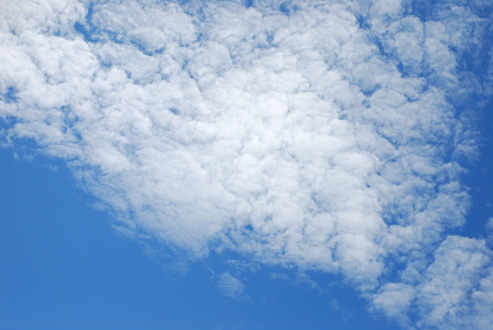Nikon D80 sample photo. Cloud, blue sky, sky photography