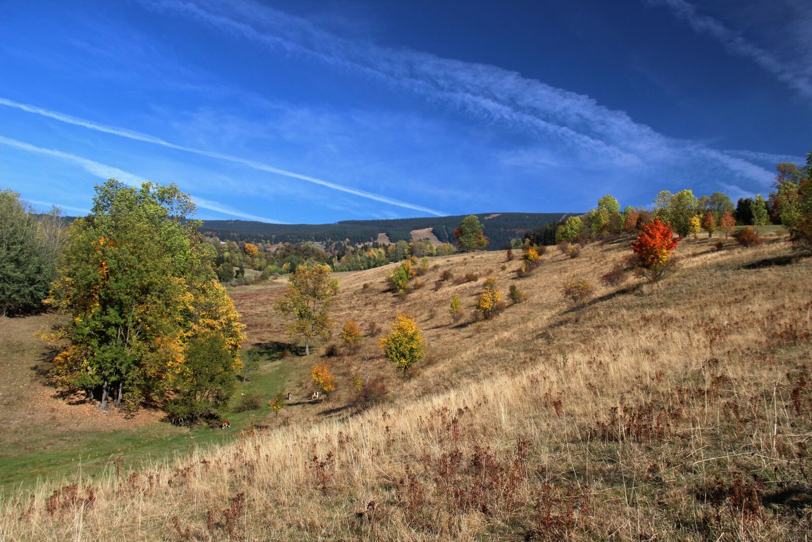 Canon EOS 600D (Rebel EOS T3i / EOS Kiss X5) sample photo. Mountains, nature, landscape photography