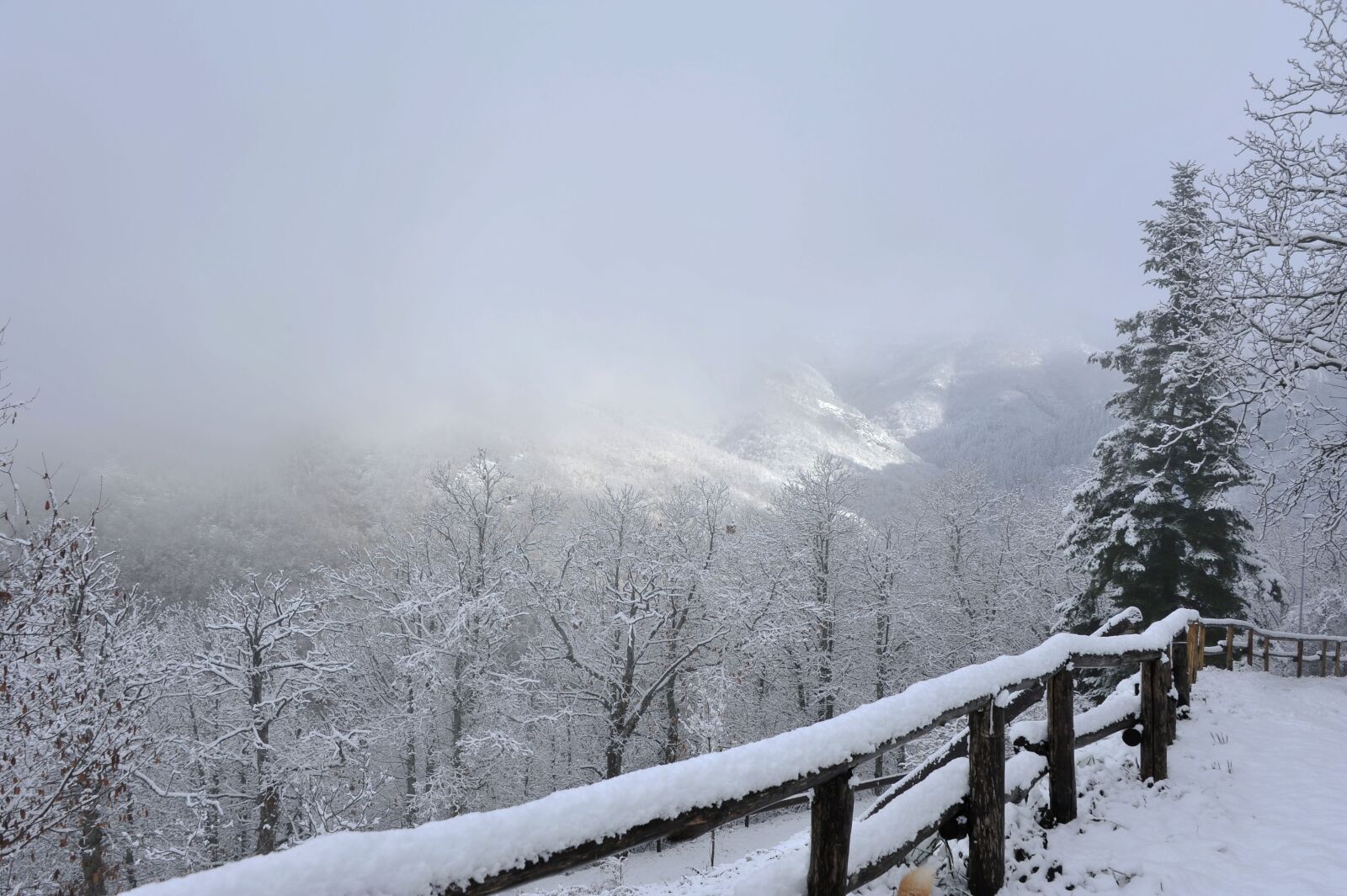 Nikon D700 sample photo. Snow, winter, cold photography