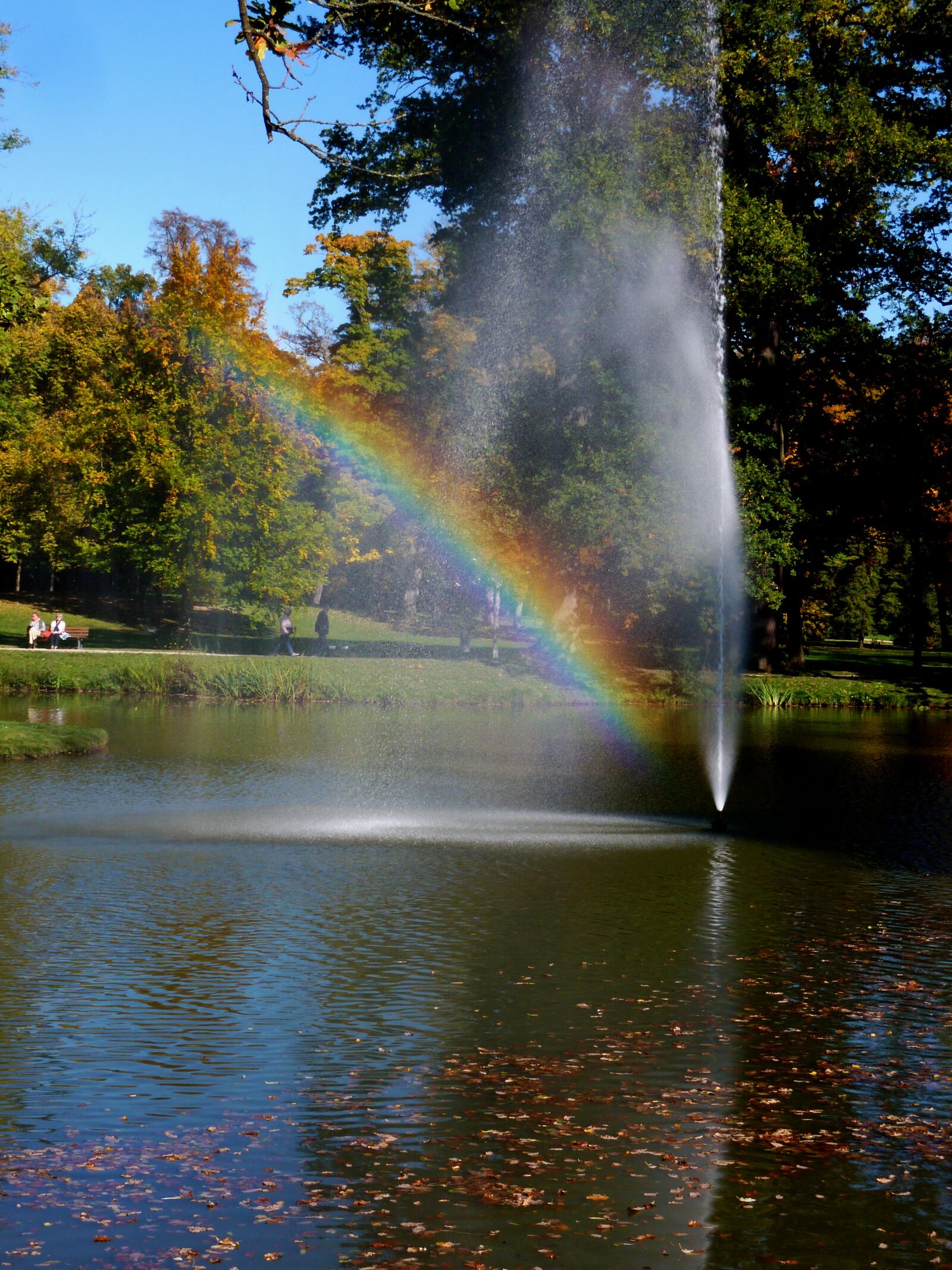 Panasonic DMC-TZ7 sample photo. Rainbow, water droplets, sun photography