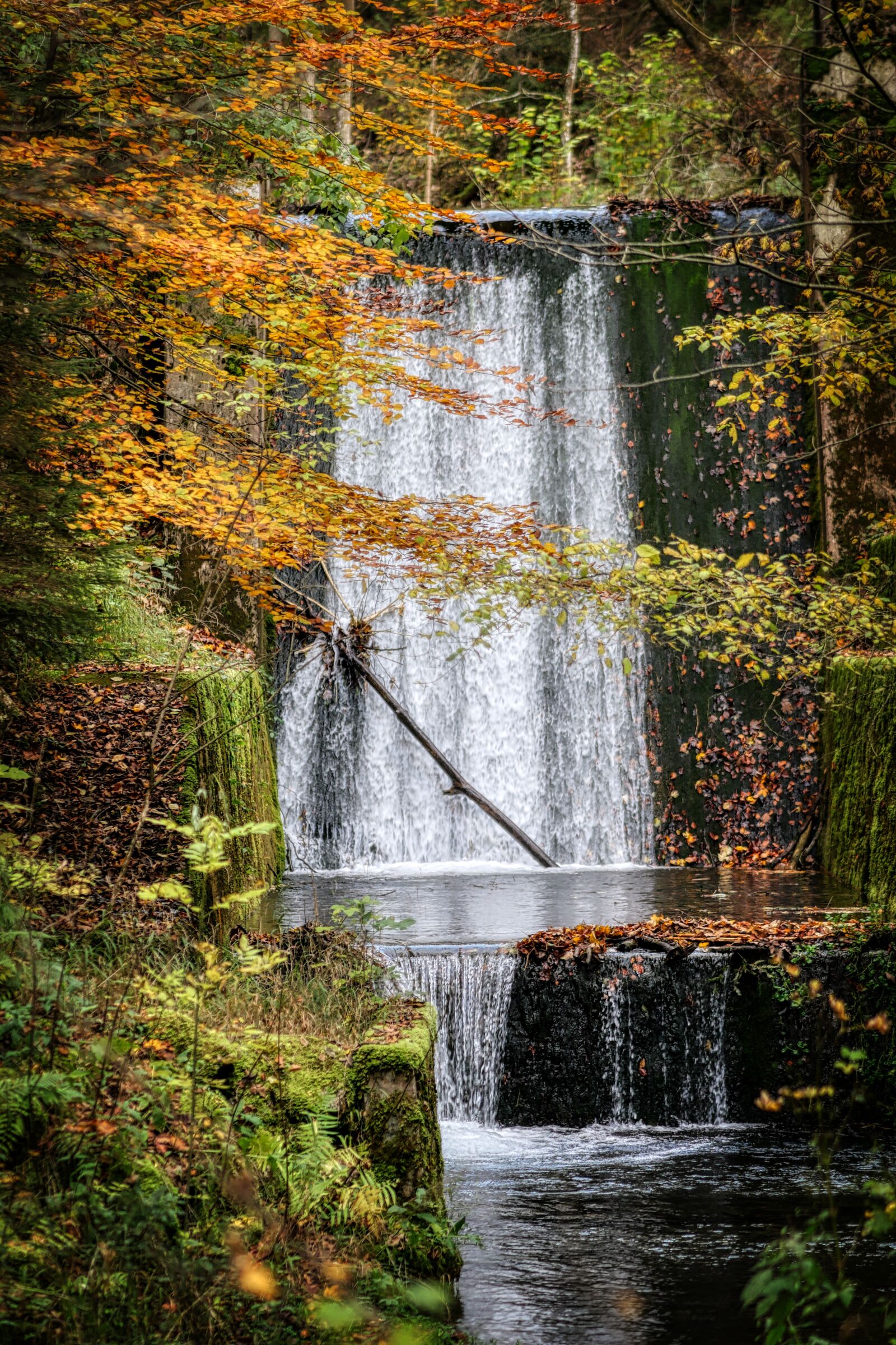 Panasonic Lumix DC-G90 (Lumix DC-G91) sample photo. Autumn, nature, landscape photography