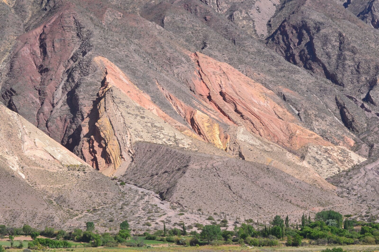 Nikon D3100 sample photo. Jujuy, argentina, landscape photography