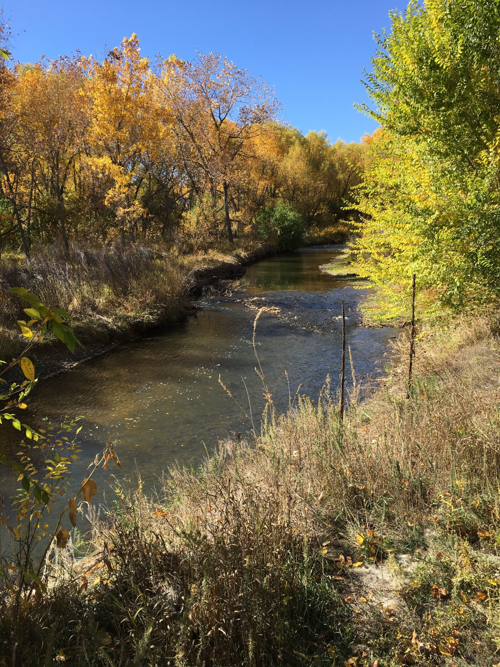 Apple iPhone 6s sample photo. Colorado, spring, landscape photography