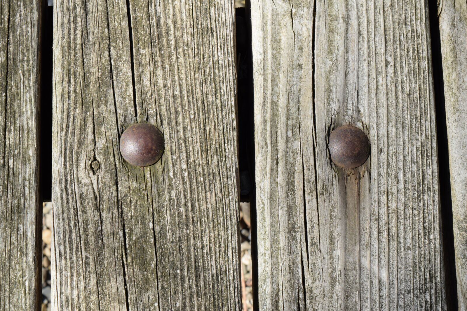 Nikon D3300 sample photo. Weathered wood, bolt, weathered photography