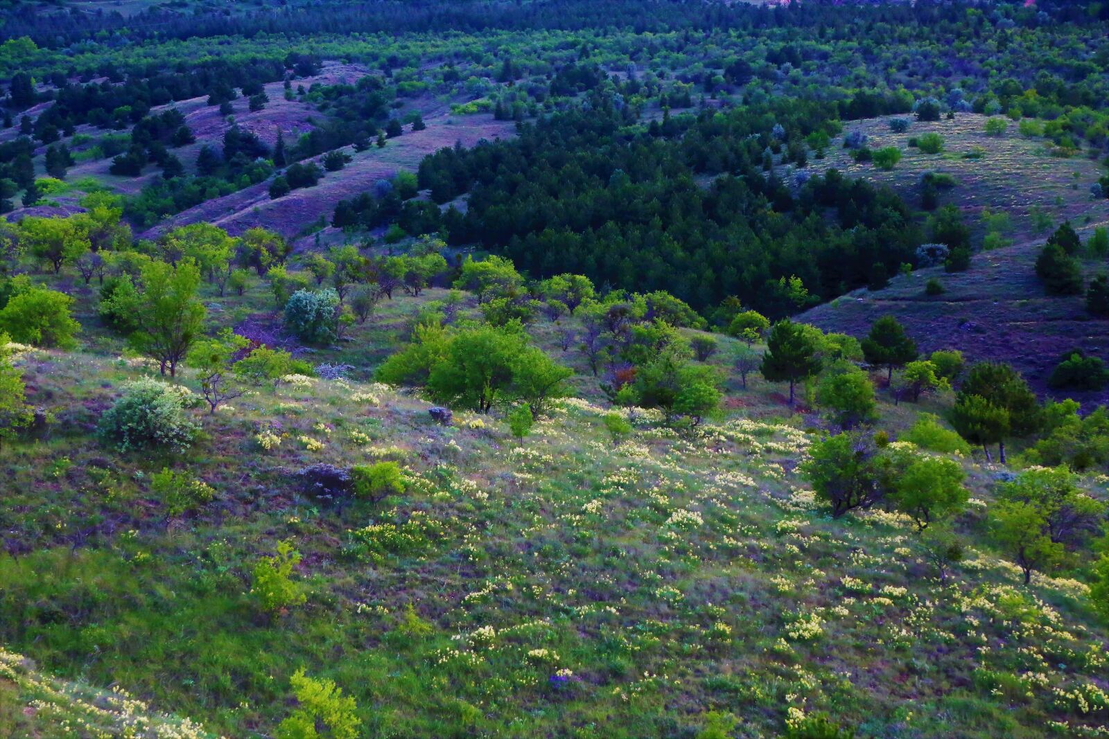 Canon EF 24-105mm F4L IS USM sample photo. Spring, rural, landscape photography