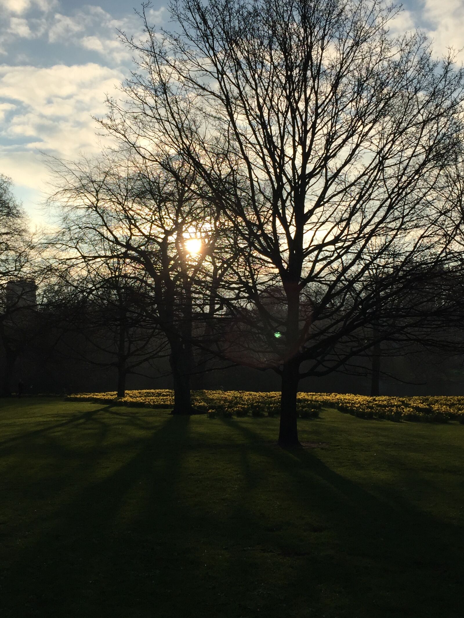 iPhone 6 Plus back camera 4.15mm f/2.2 sample photo. St, james, park, sunrise photography