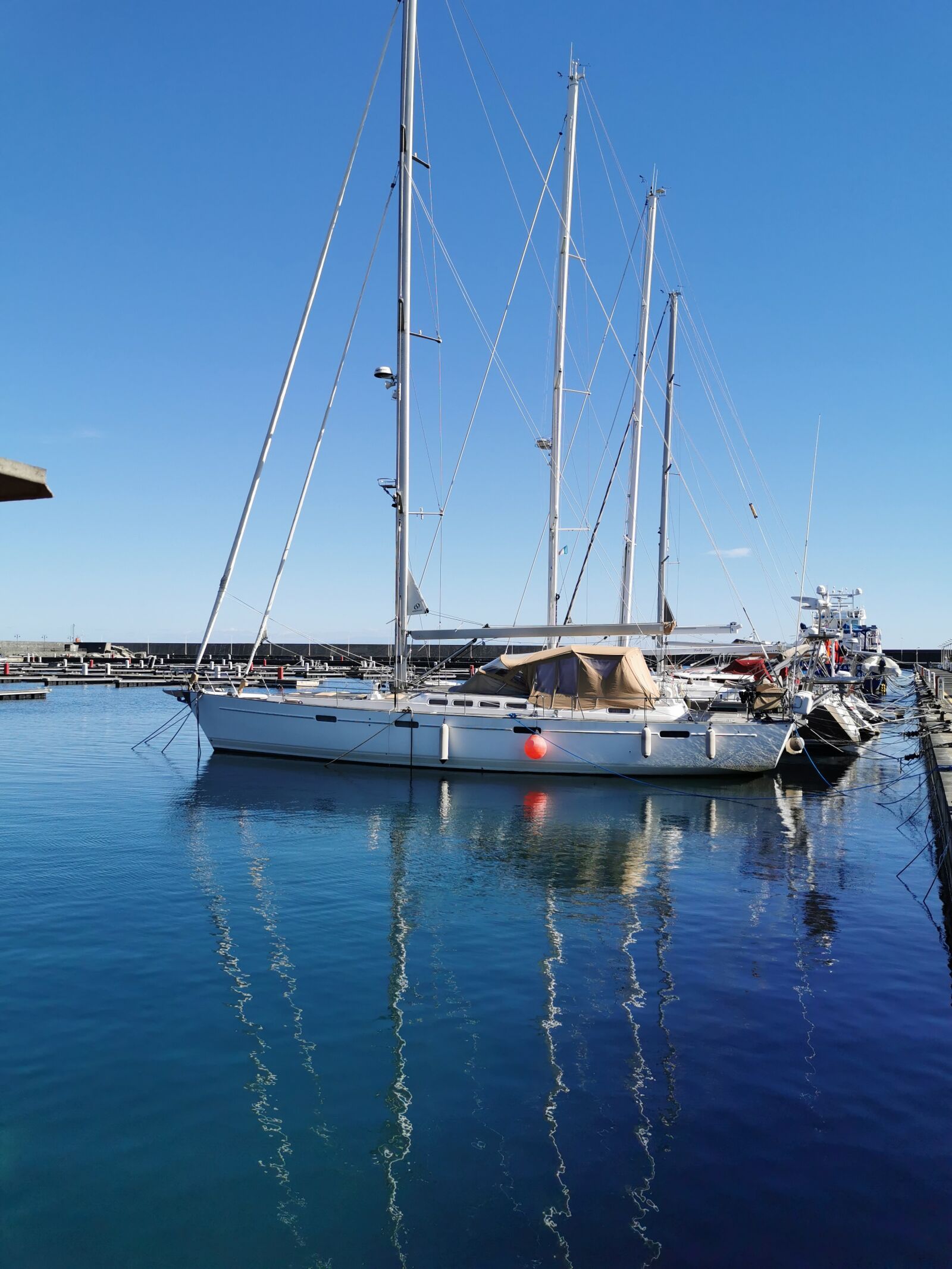HUAWEI P30 sample photo. Boat, vela, trees photography