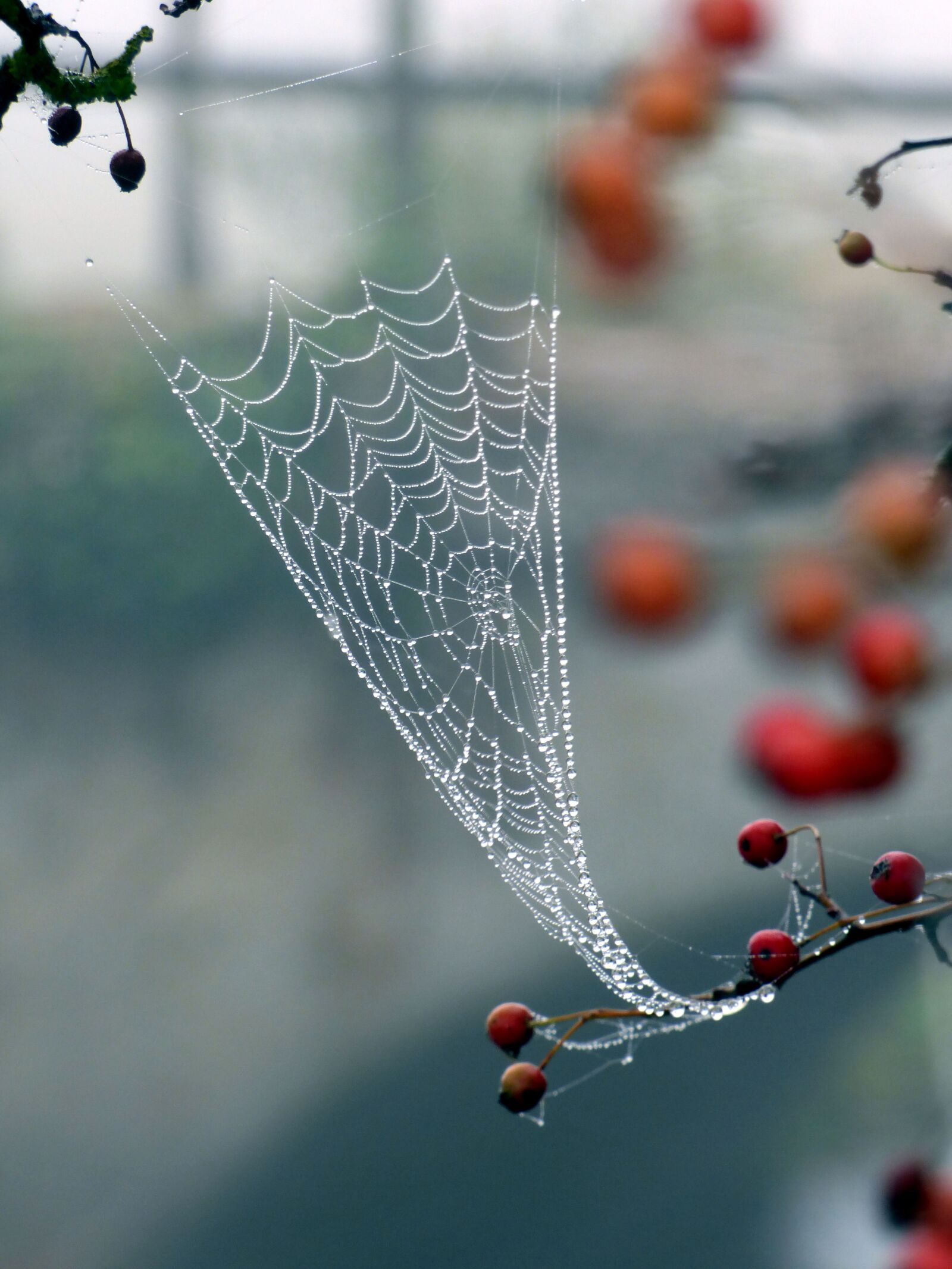 Panasonic DMC-FZ72 sample photo. Canvas, spider, beads photography