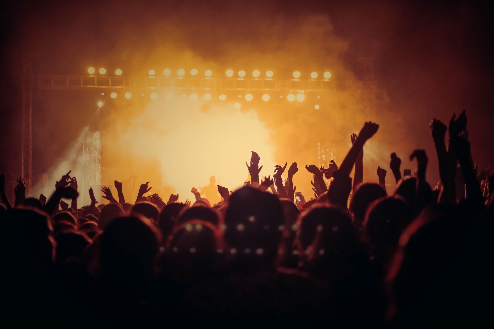 Canon EOS 5D Mark IV sample photo. Concert, live, audience photography