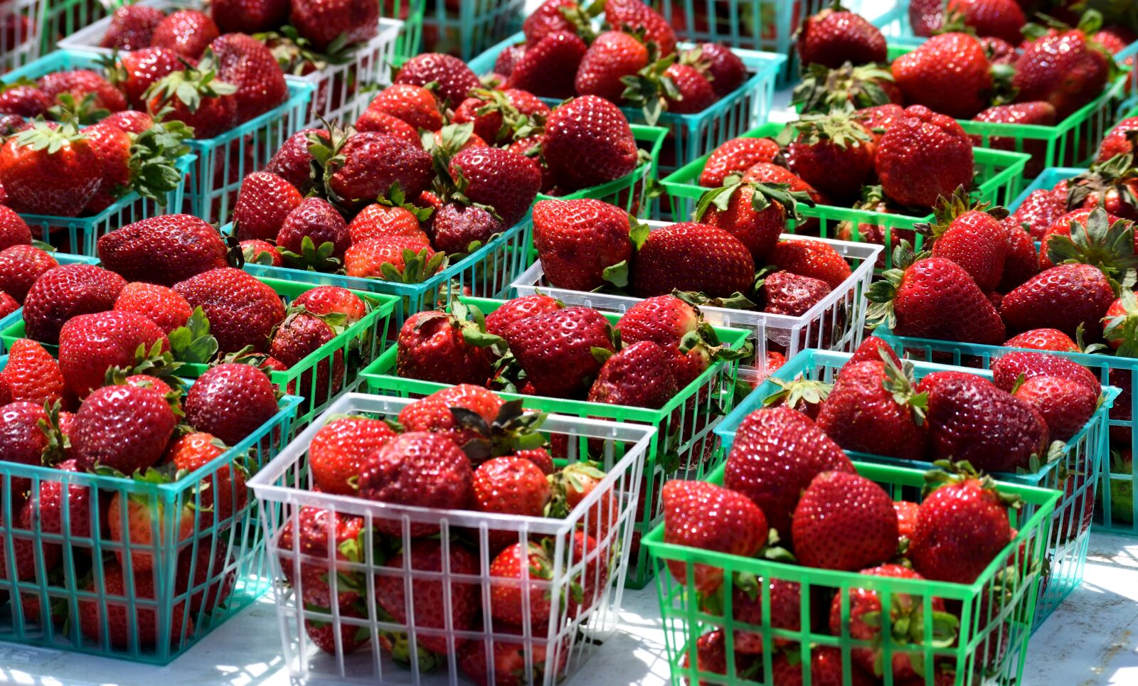 Nikon D3300 sample photo. Market, food, fruit photography