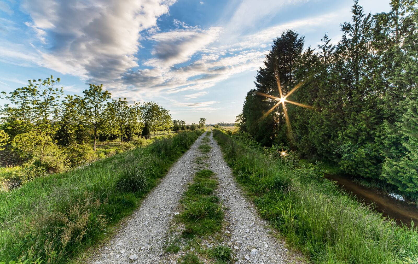 Nikon D600 sample photo. British columbia, canada, grass photography