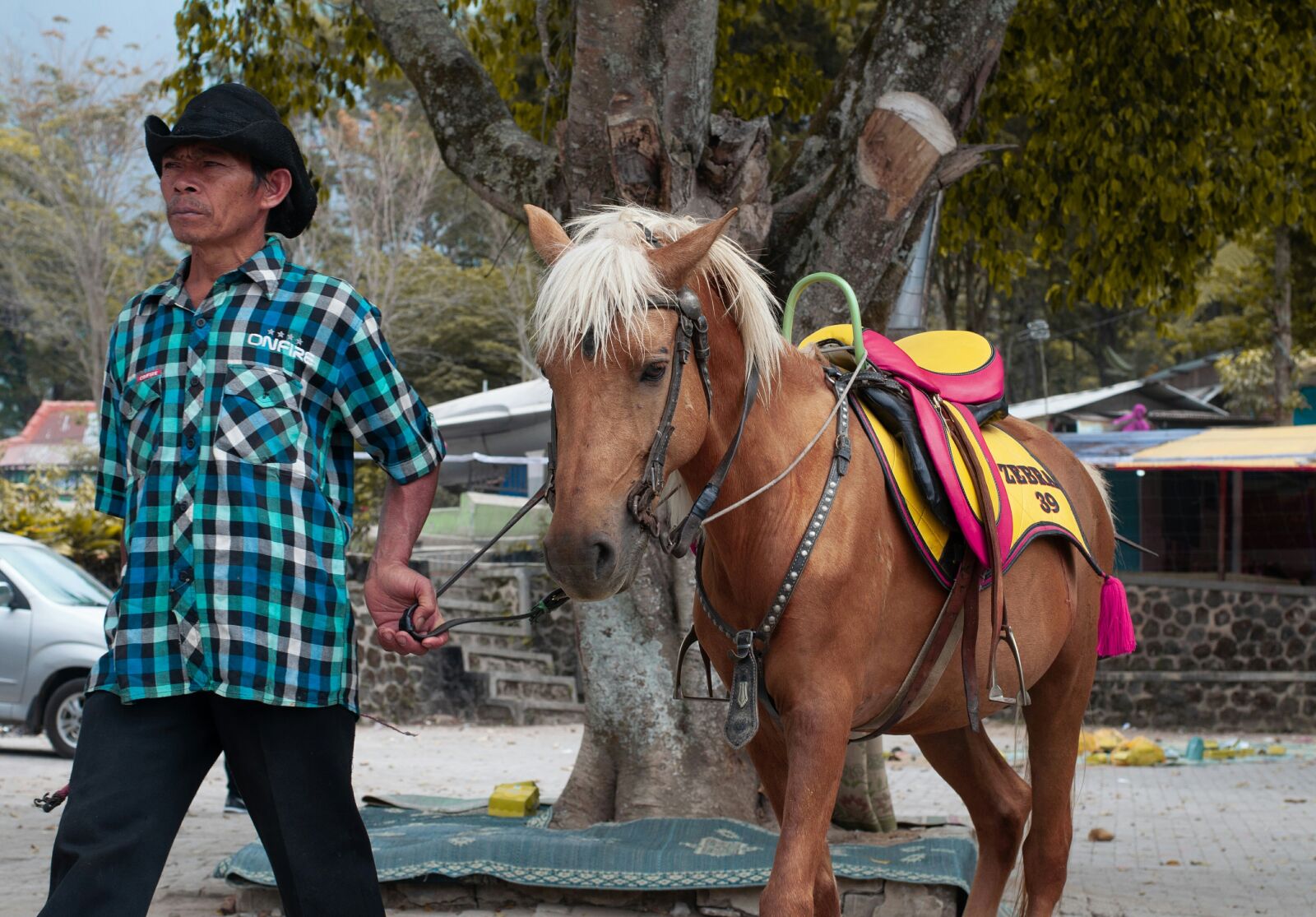 Nikon D5000 sample photo. Horse, horse racing, horseman photography
