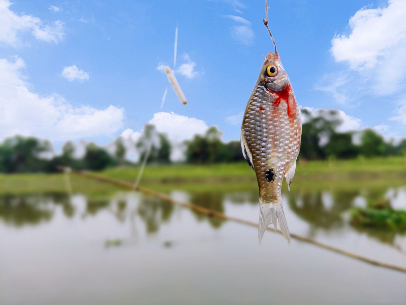 Xiaomi POCO X2 sample photo. Fishing, river, fish photography