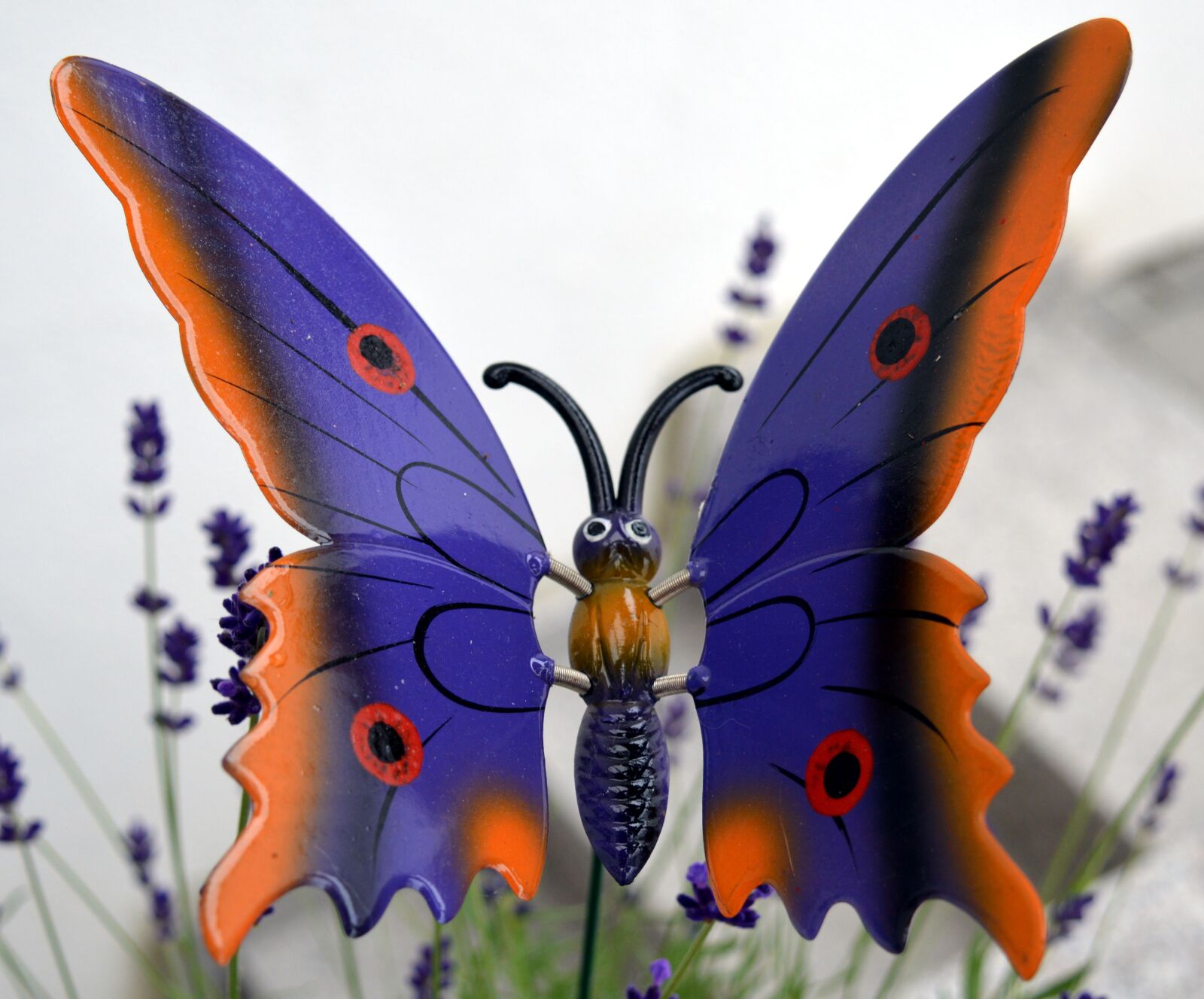 Nikon D3200 sample photo. Butterfly, decoration, deco photography
