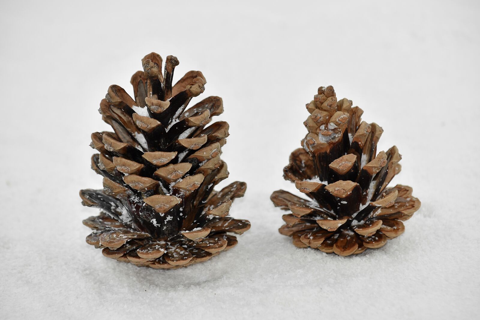 Nikon D5500 sample photo. Christmas, decoration, snow, snowflakes photography