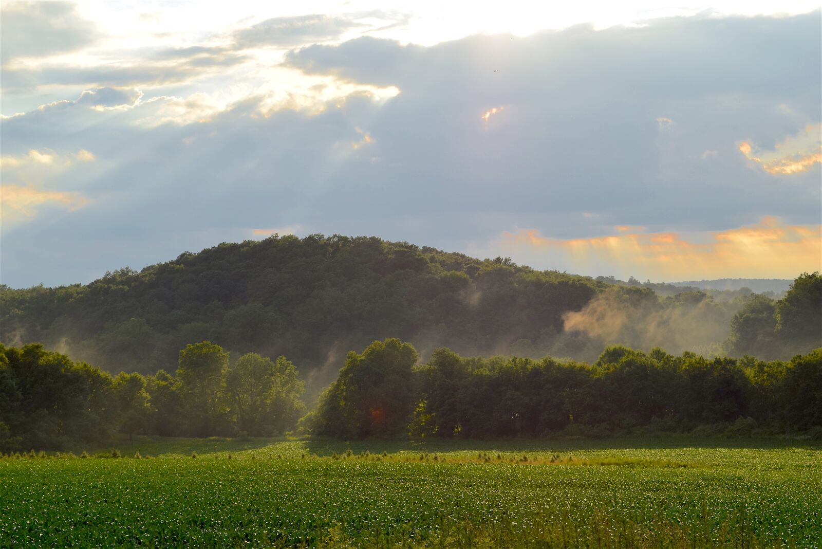 Nikon D3300 sample photo. Landscape, field, sunshine photography