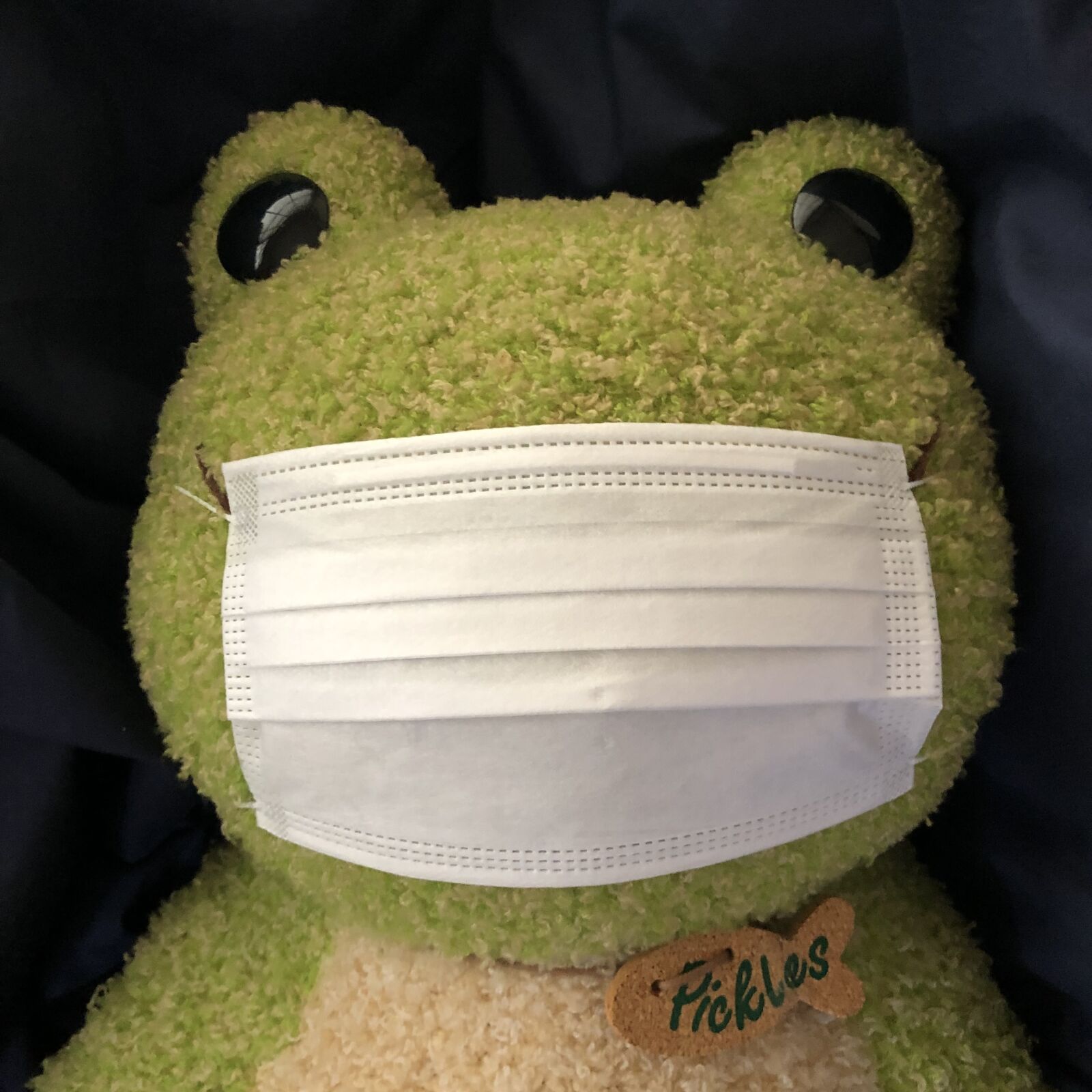 Apple iPhone X sample photo. The frog, mask, pickles photography