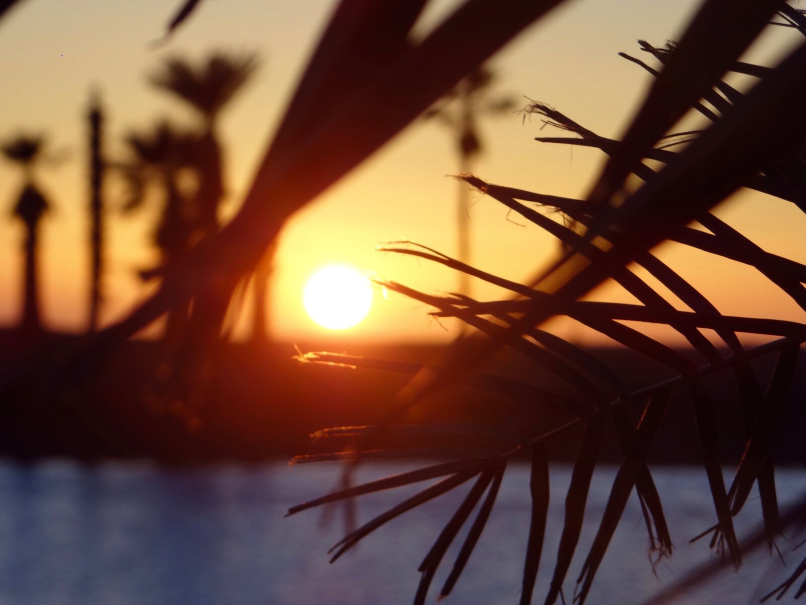 Sony Cyber-shot DSC-HX100V sample photo. Sunset, beach, palms photography