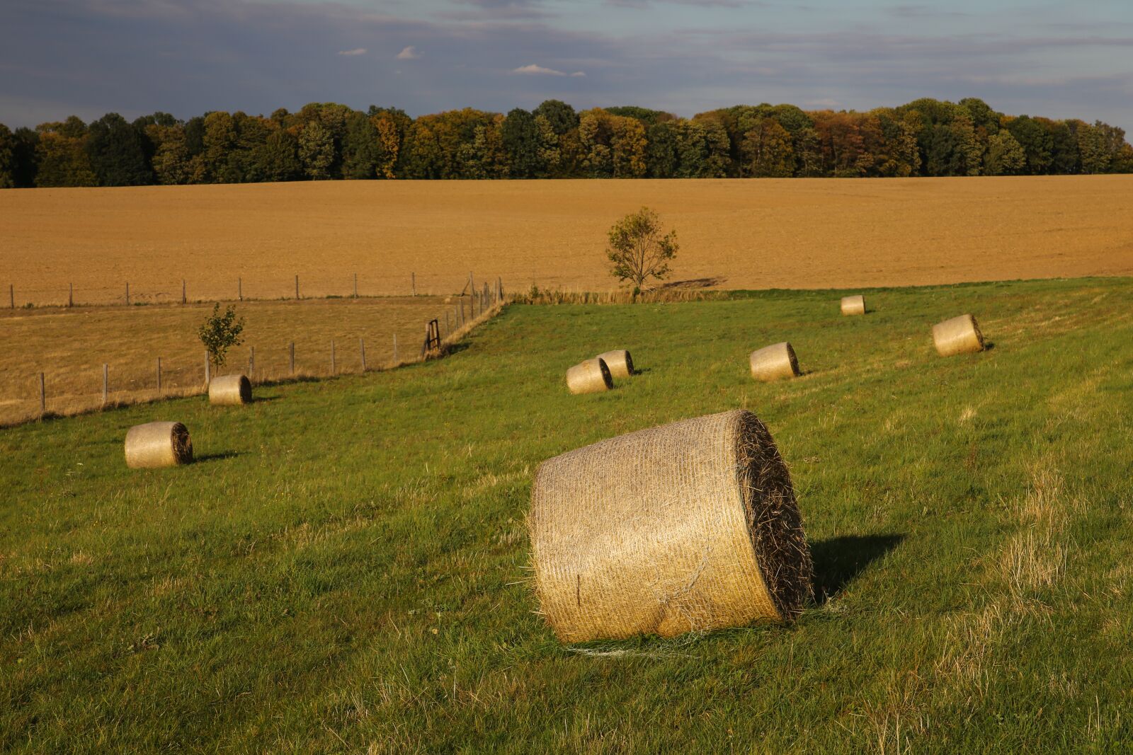 Canon EF 24-105mm F4L IS II USM sample photo. Autumn, harvest, straw bales photography