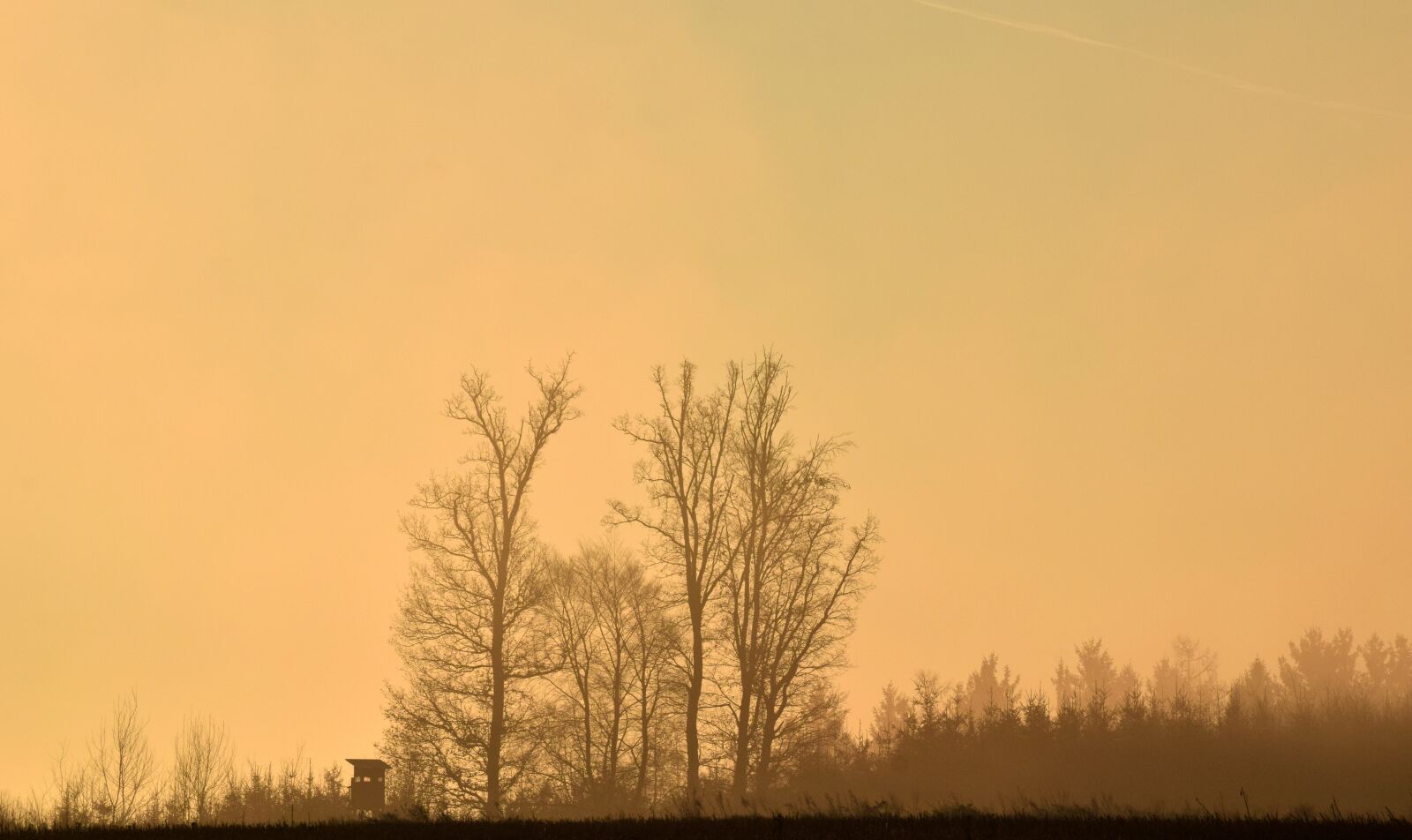 Nikon D3300 sample photo. Trees, sunrise, haze photography