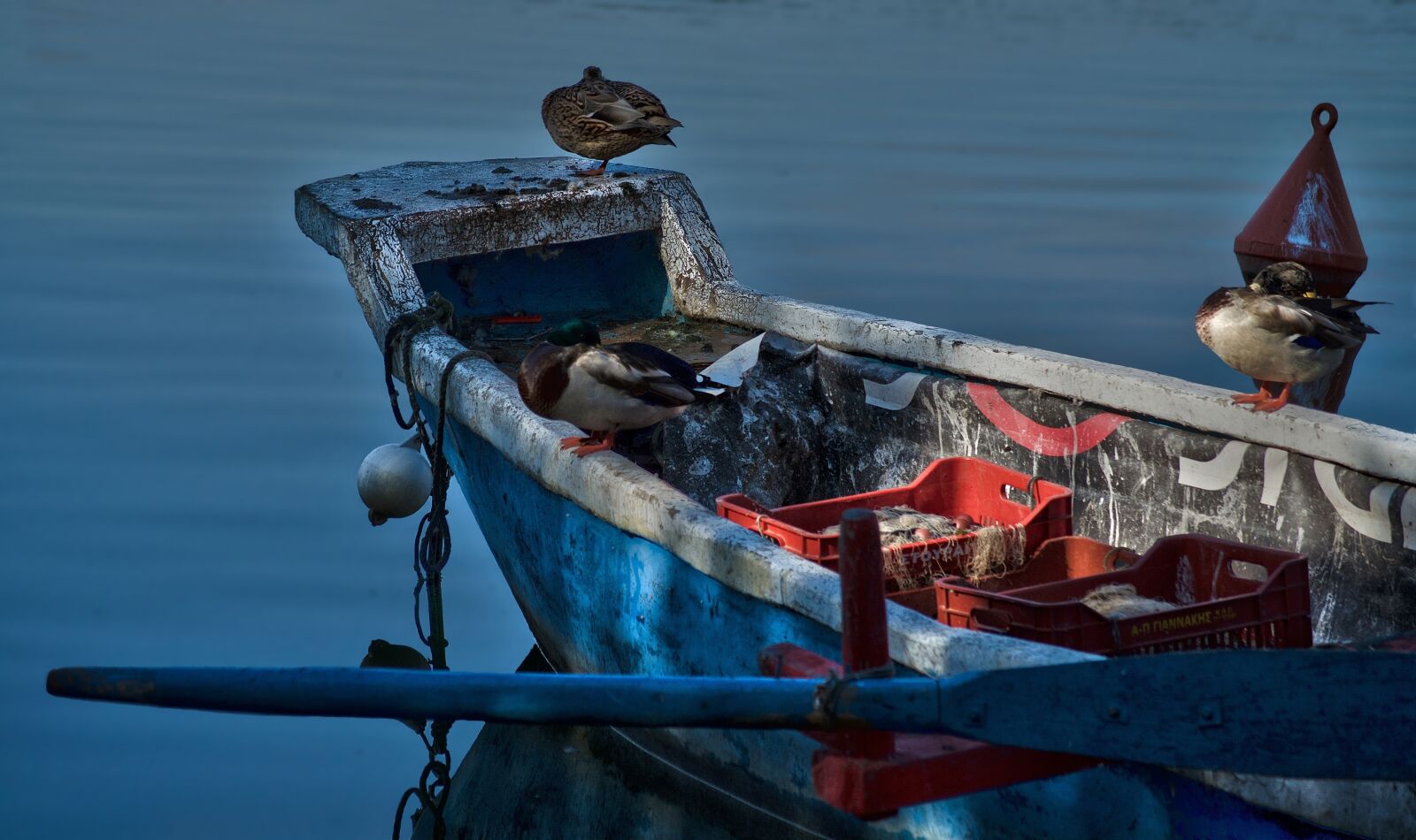 Nikon D5100 sample photo. Lake, boat, nature photography