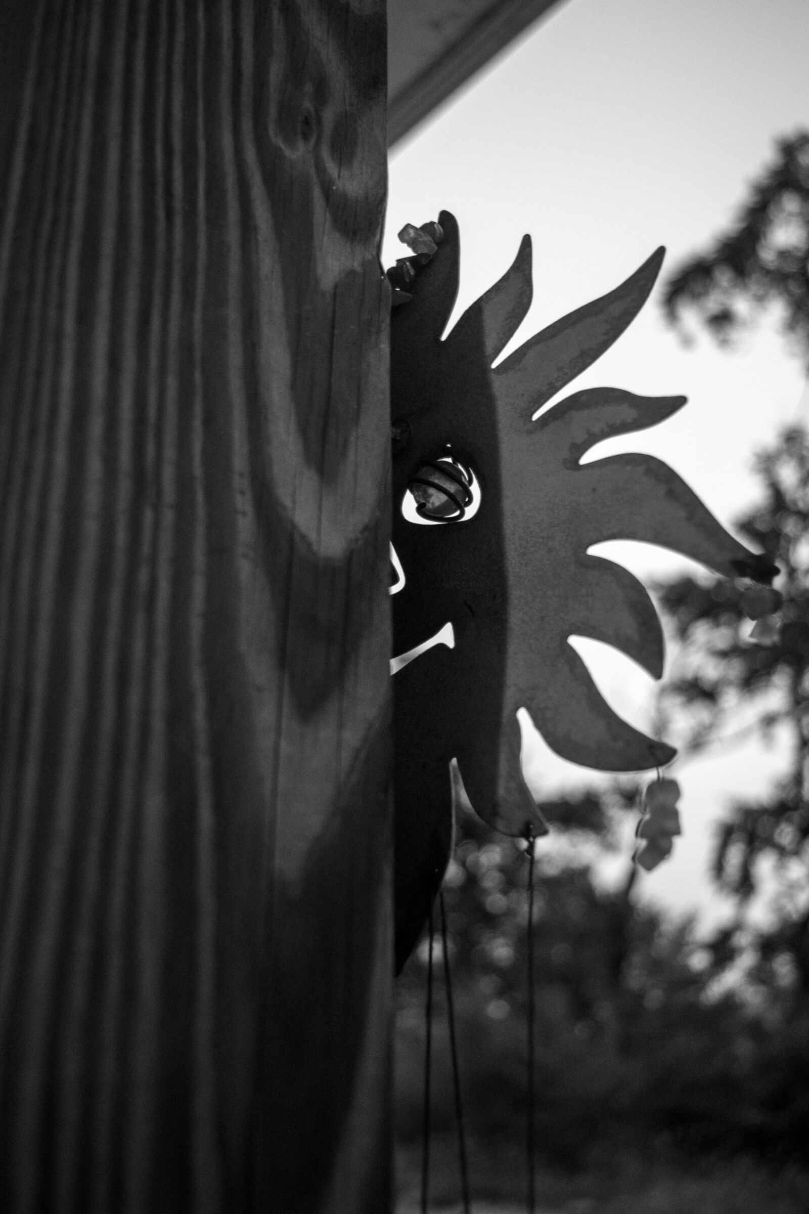 Nikon D5500 sample photo. Sun, black and white photography