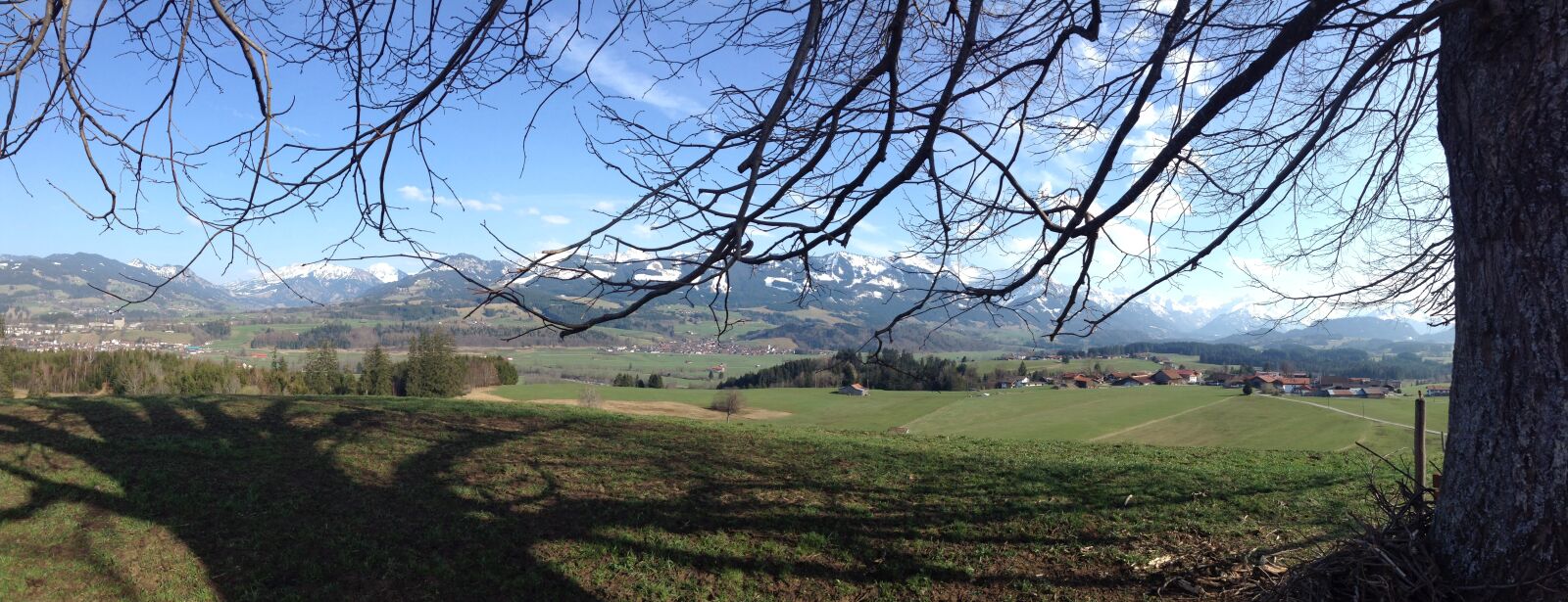 Apple iPod touch sample photo. Landscape, tree, allgäu photography