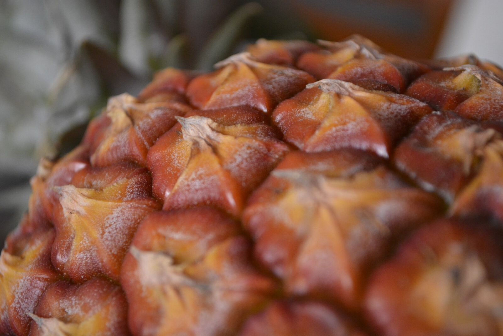 Nikon D5200 sample photo. Pineapple, fruit, green photography