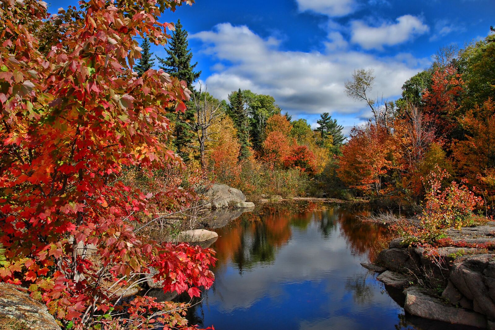 Nikon D200 sample photo. Canada, autumn, fall photography