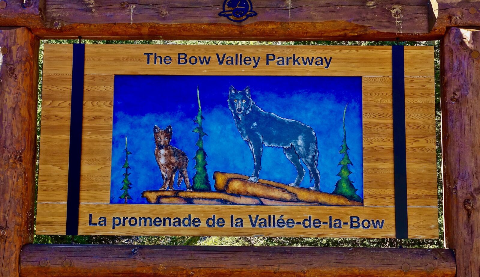 Sony Cyber-shot DSC-RX100 III sample photo. Bow valley, canada, sign photography