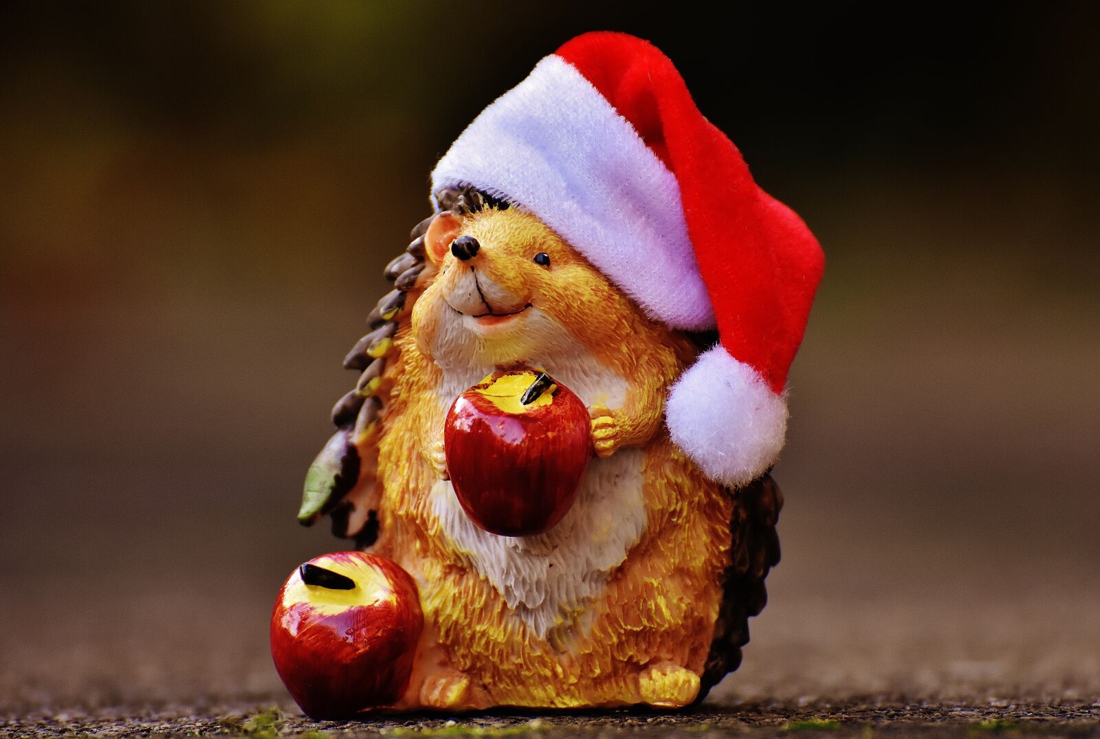Nikon D7200 sample photo. Hedgehog, figure, christmas photography