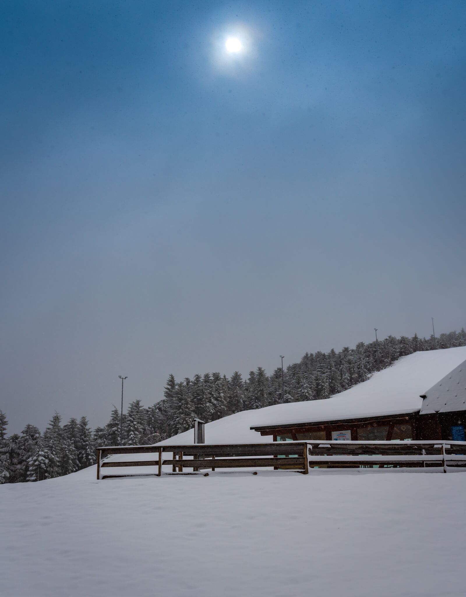 Nikon D750 sample photo. Black forest, winter mood photography
