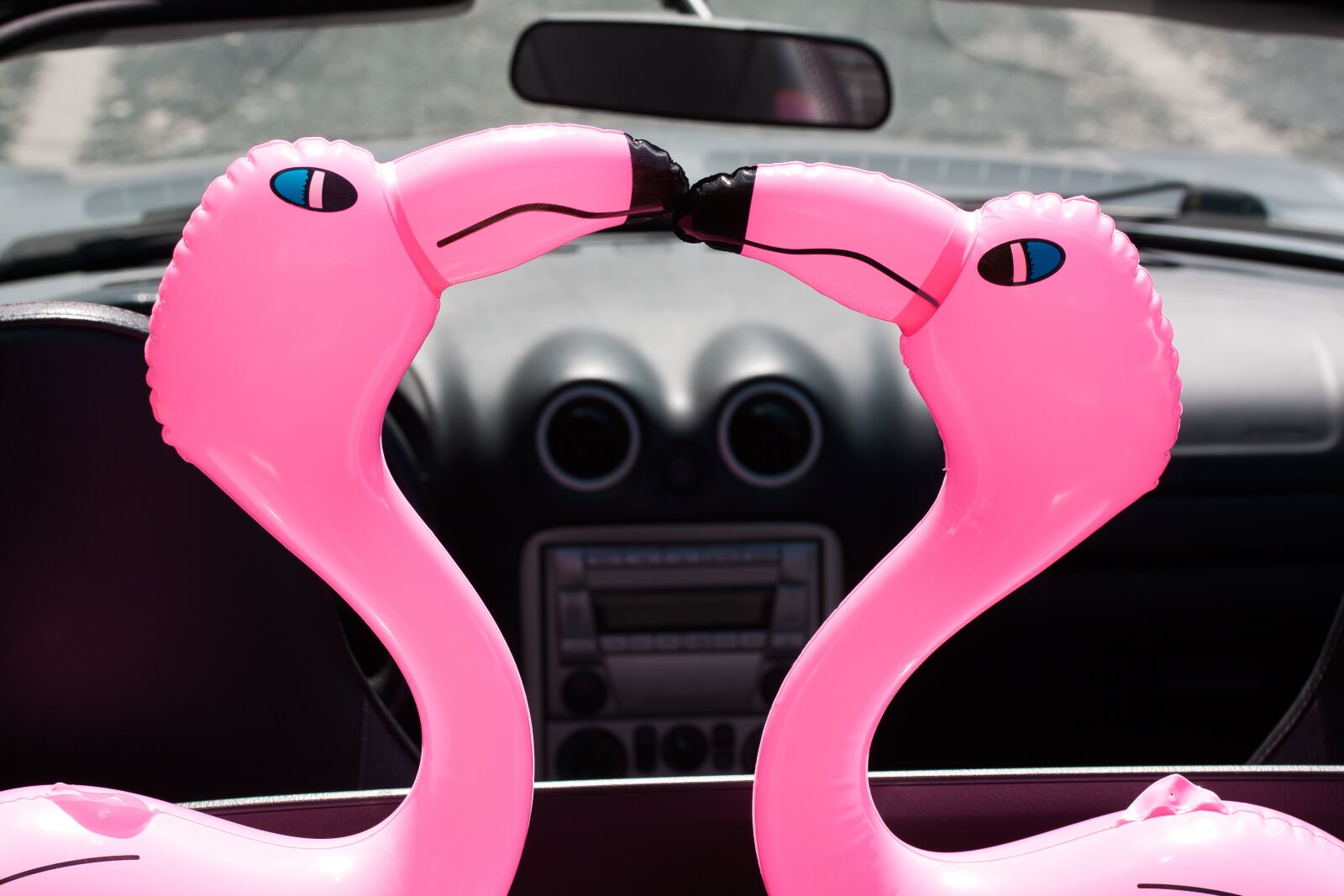 Canon EOS 50D sample photo. Flamingo, beaks, inflatable photography