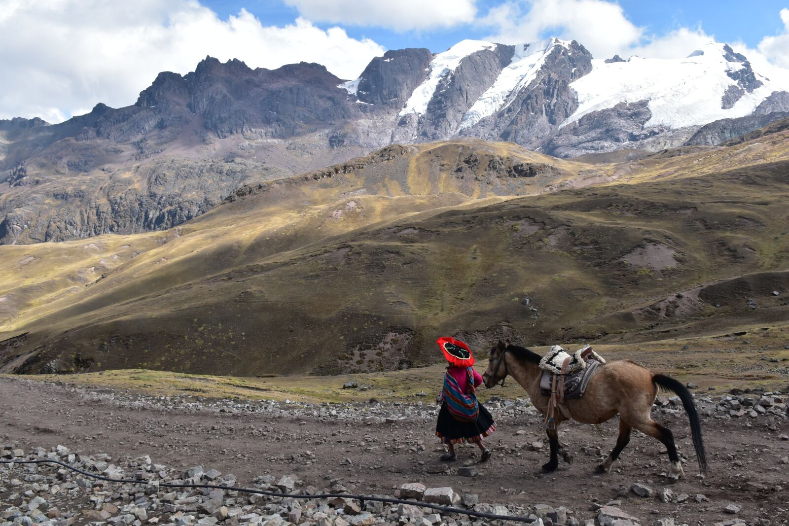 Nikon D5500 sample photo. Peru, mountain, horse photography