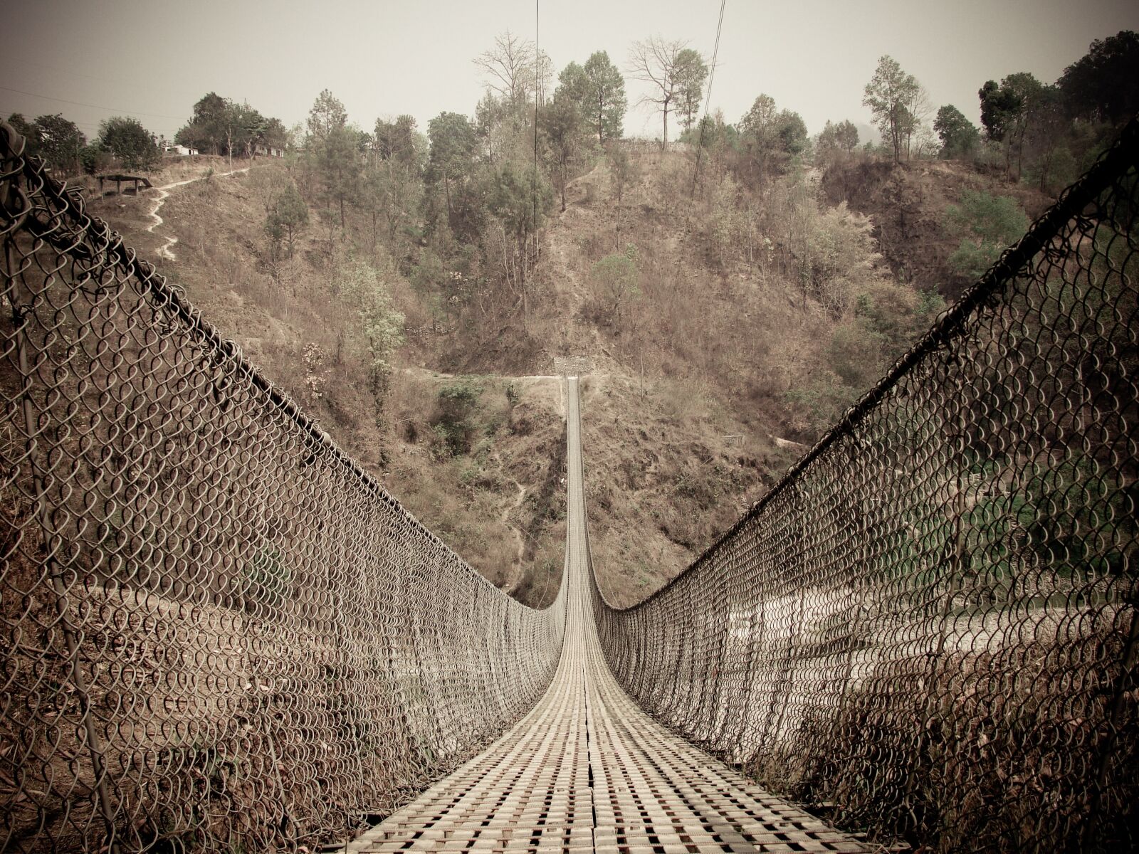 Sony Cyber-shot DSC-H50 sample photo. Bridge, nature, woods photography