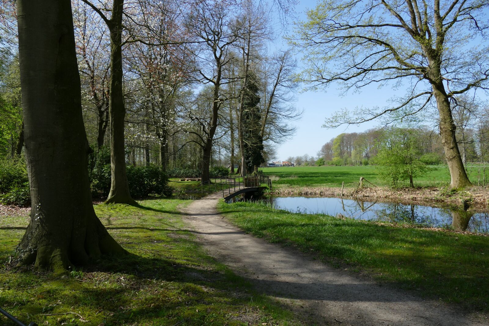 Panasonic Lumix DMC-FZ1000 sample photo. Landscape, nature, park photography