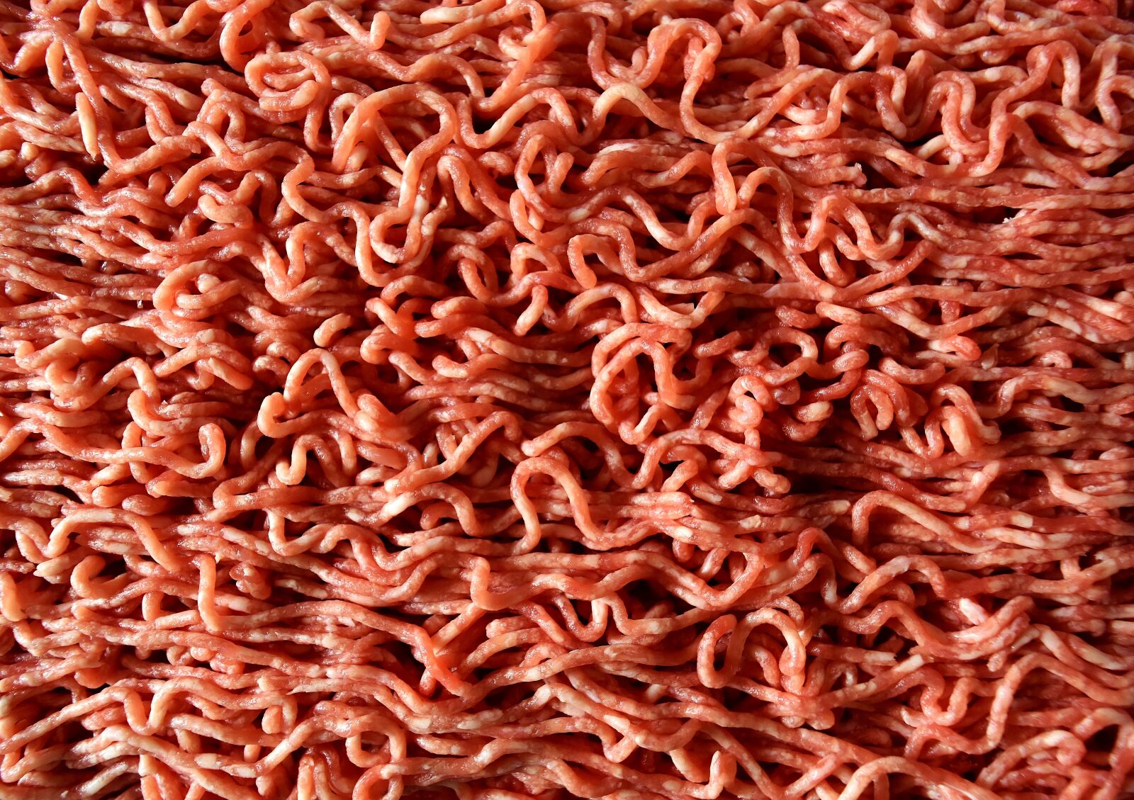 Nikon D7200 sample photo. Minced meat, raw, eat photography