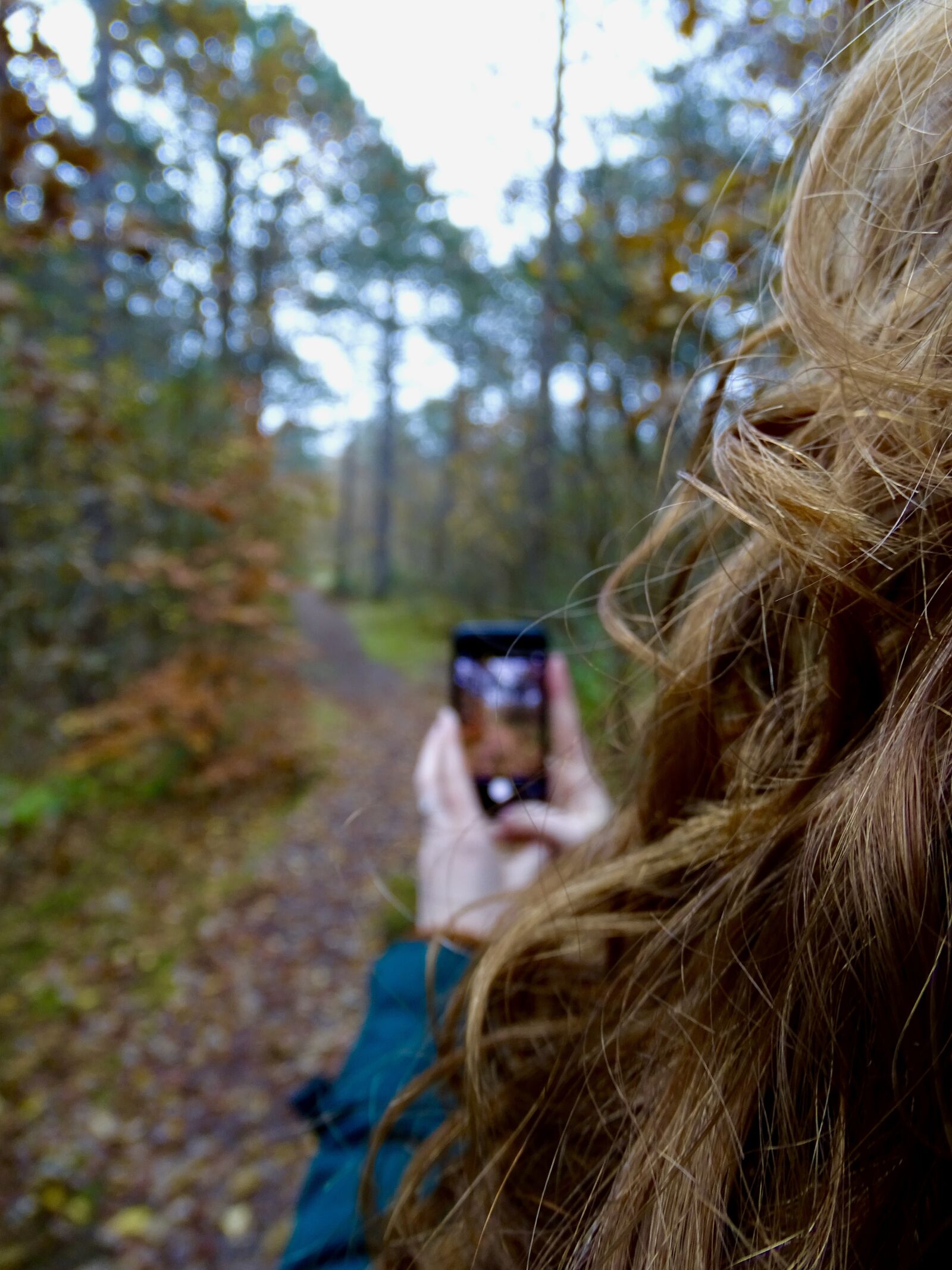 Sony Cyber-shot DSC-HX400V sample photo. Forest, red, telephone photography