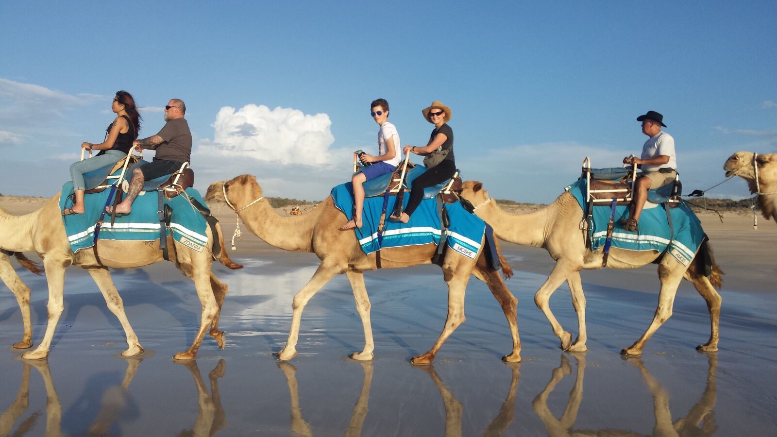 Samsung Galaxy S4 sample photo. Camel, camel ride, ride photography