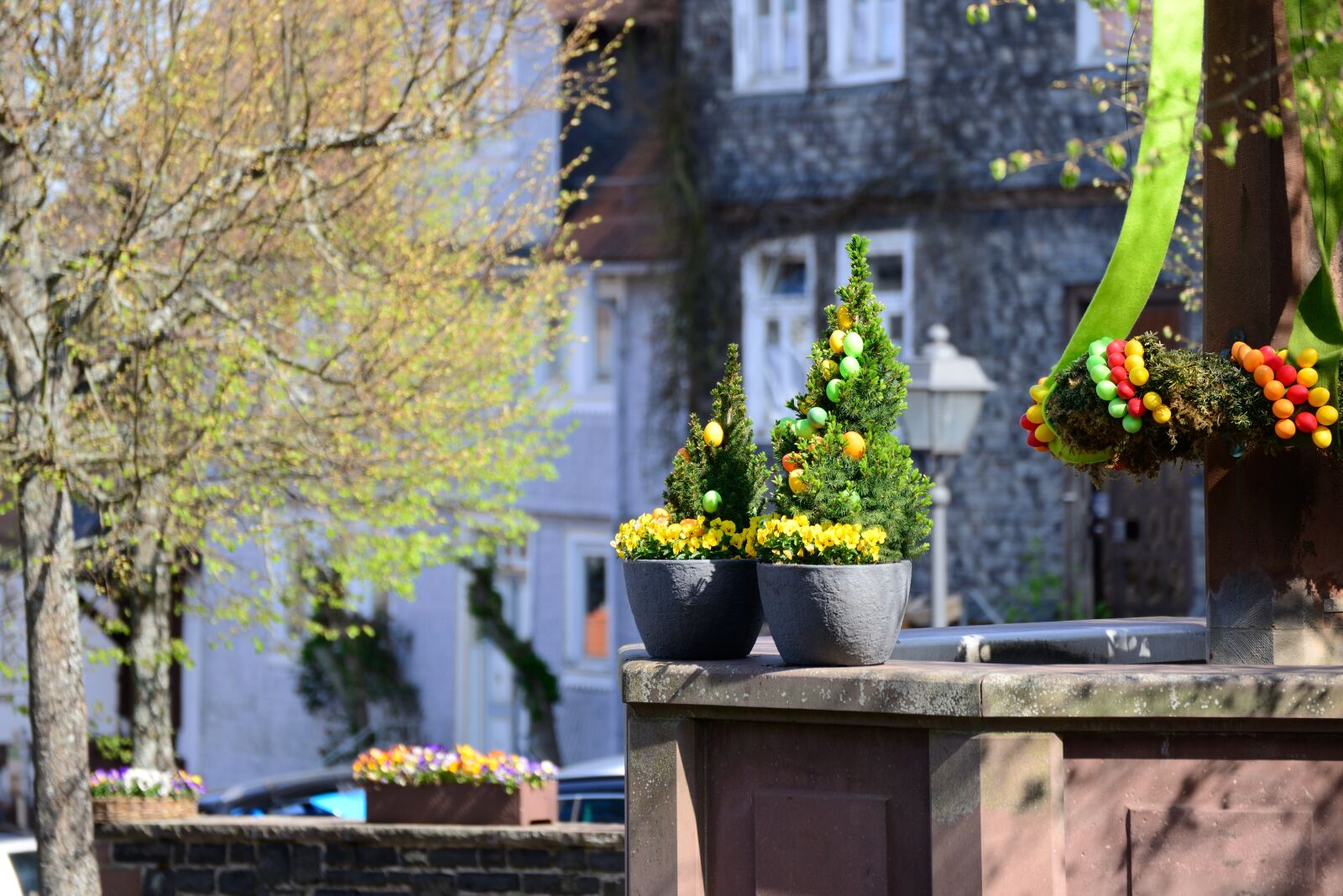 Nikon D610 sample photo. Am neburg, hesse, easter photography