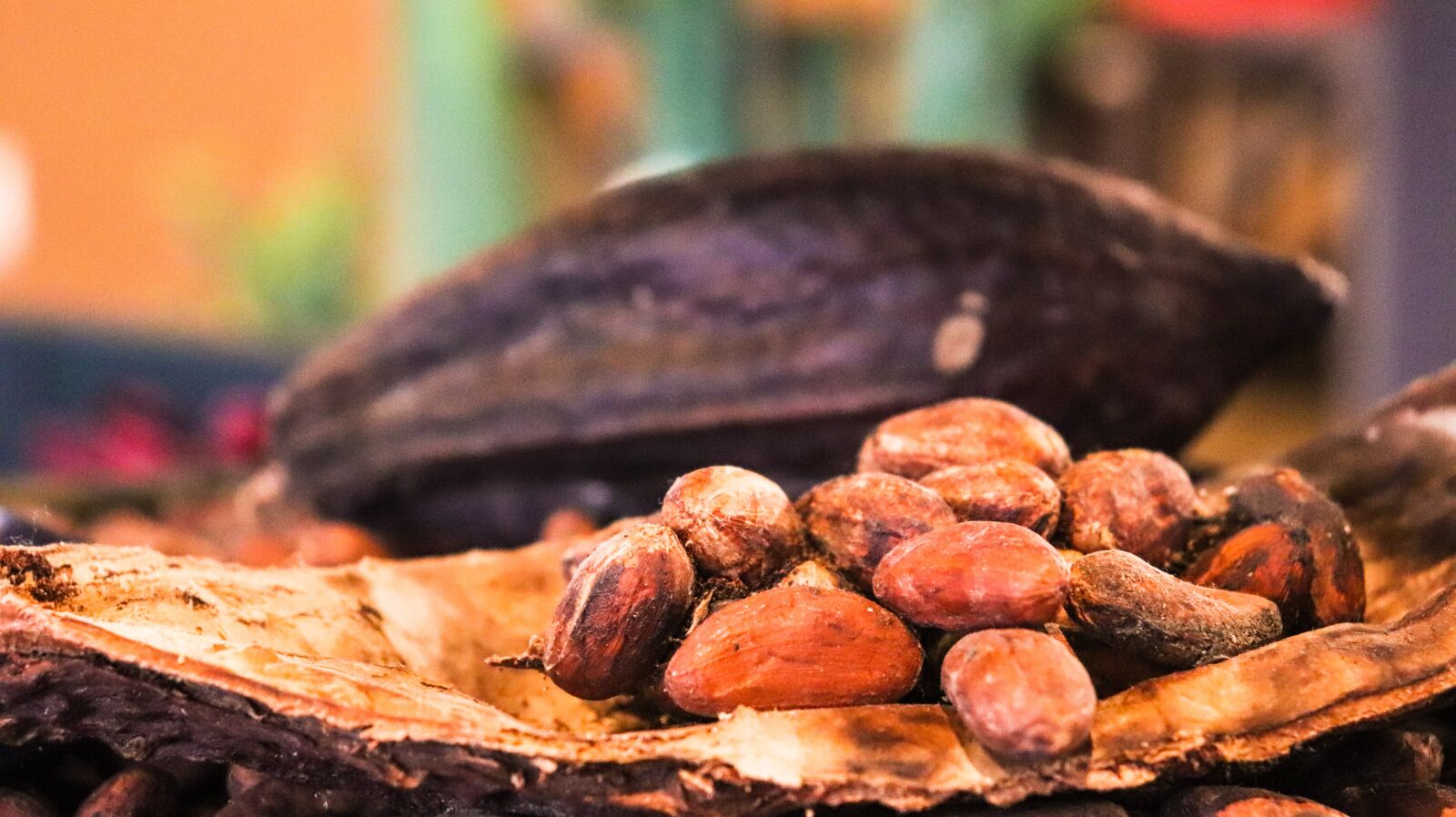 Canon EOS 200D (EOS Rebel SL2 / EOS Kiss X9) sample photo. Cacao, cocoa, chocolate photography