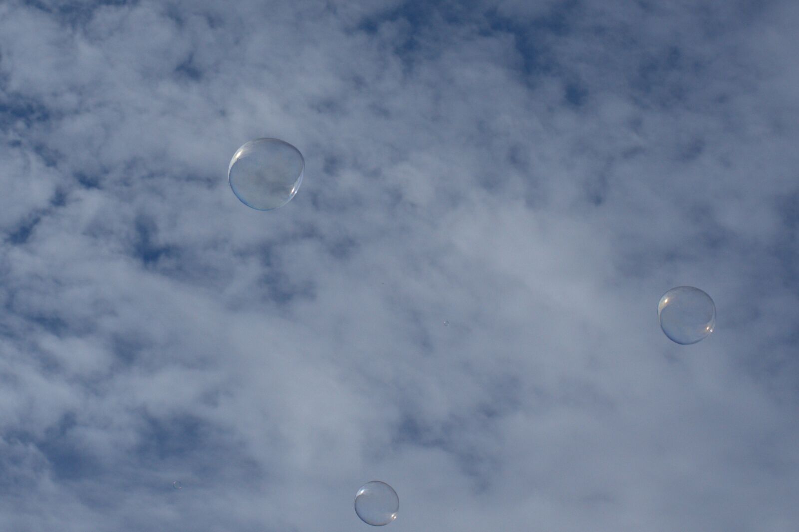 Sony FE 50mm F2.8 Macro sample photo. Soap bubble, sky, bubble photography