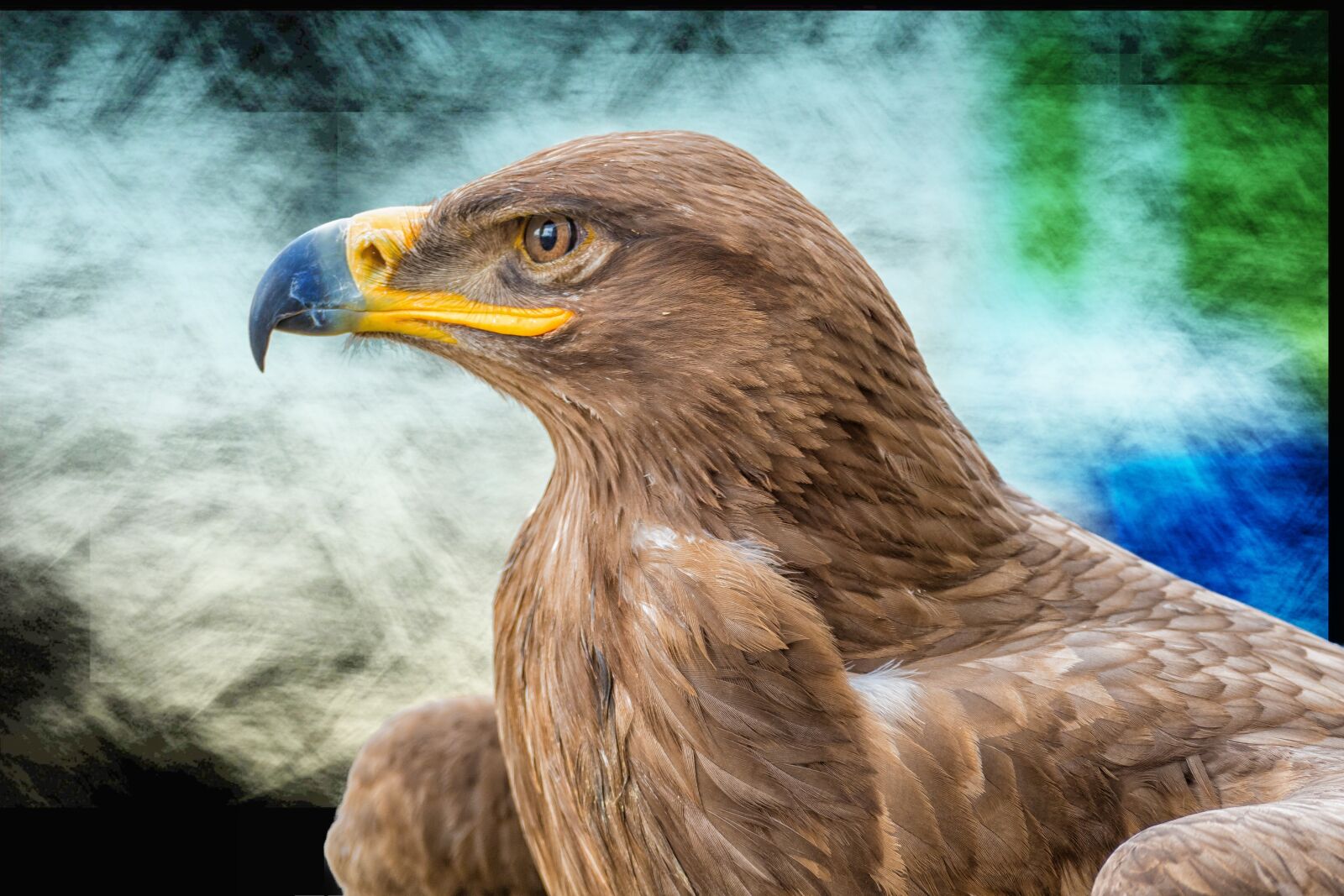 Panasonic Lumix DMC-FZ1000 sample photo. Adler, bird, creature photography